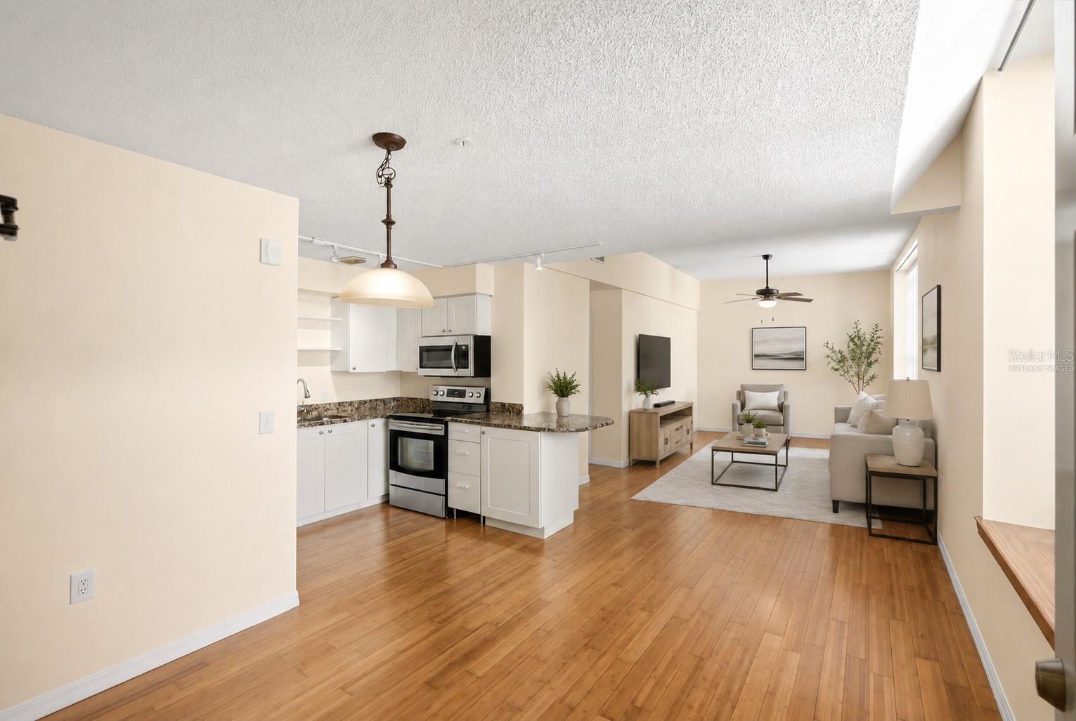 701 MIRROR LAKE CONDO - Residential