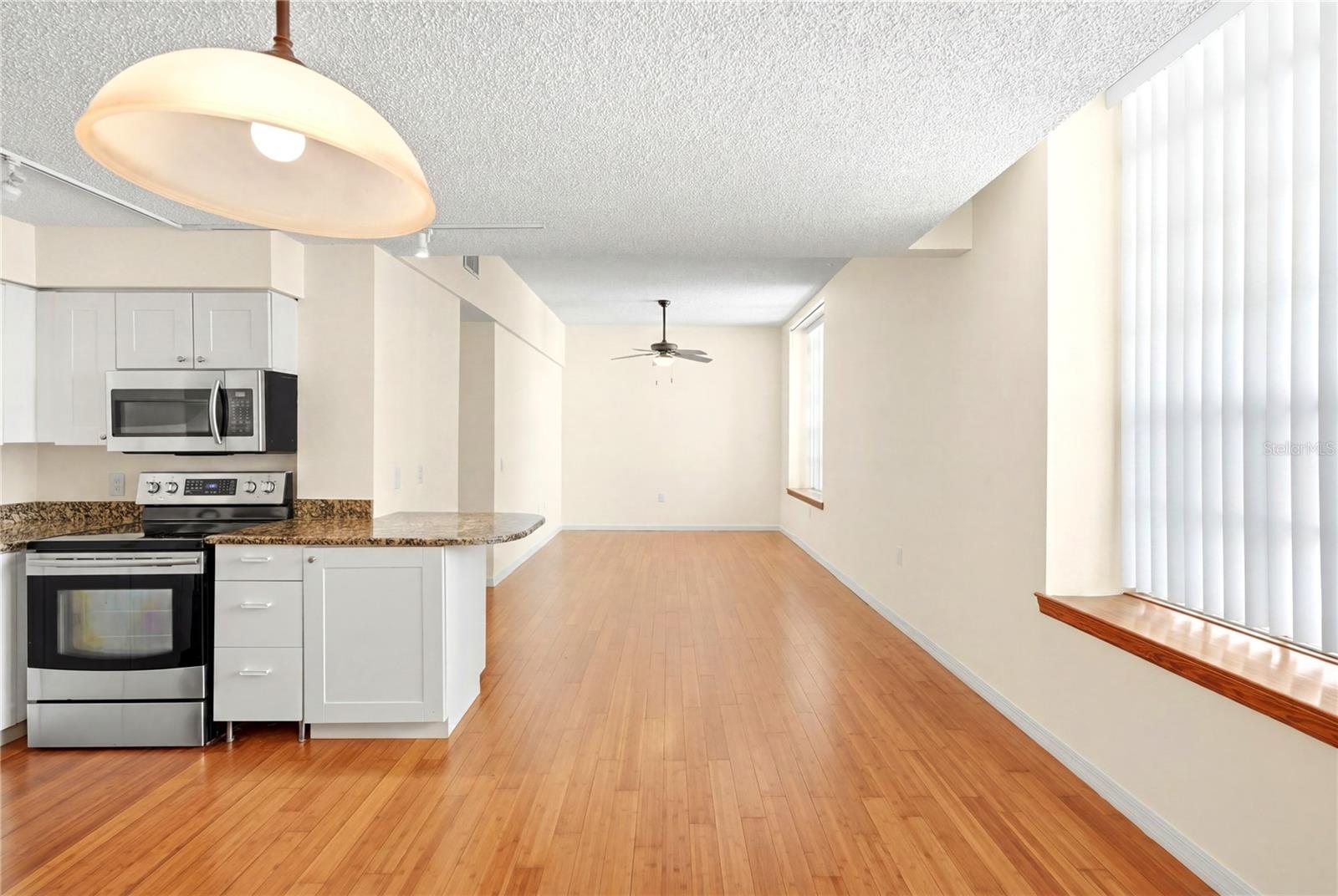 701 MIRROR LAKE CONDO - Residential