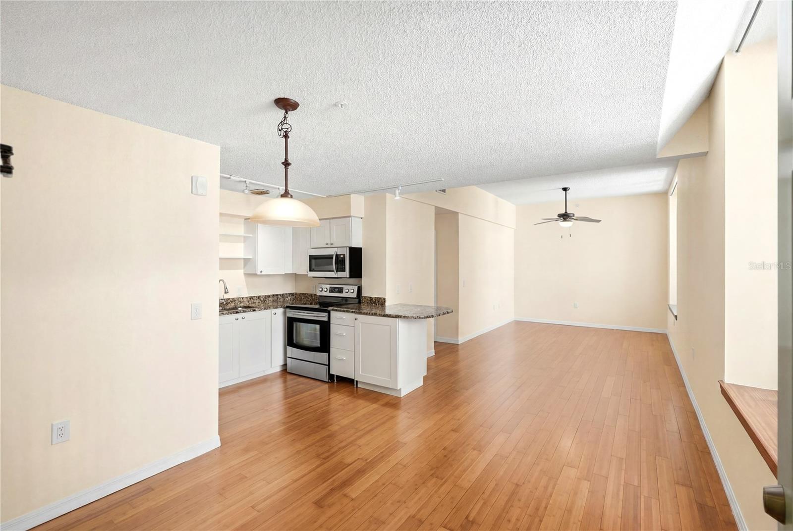 701 MIRROR LAKE CONDO - Residential