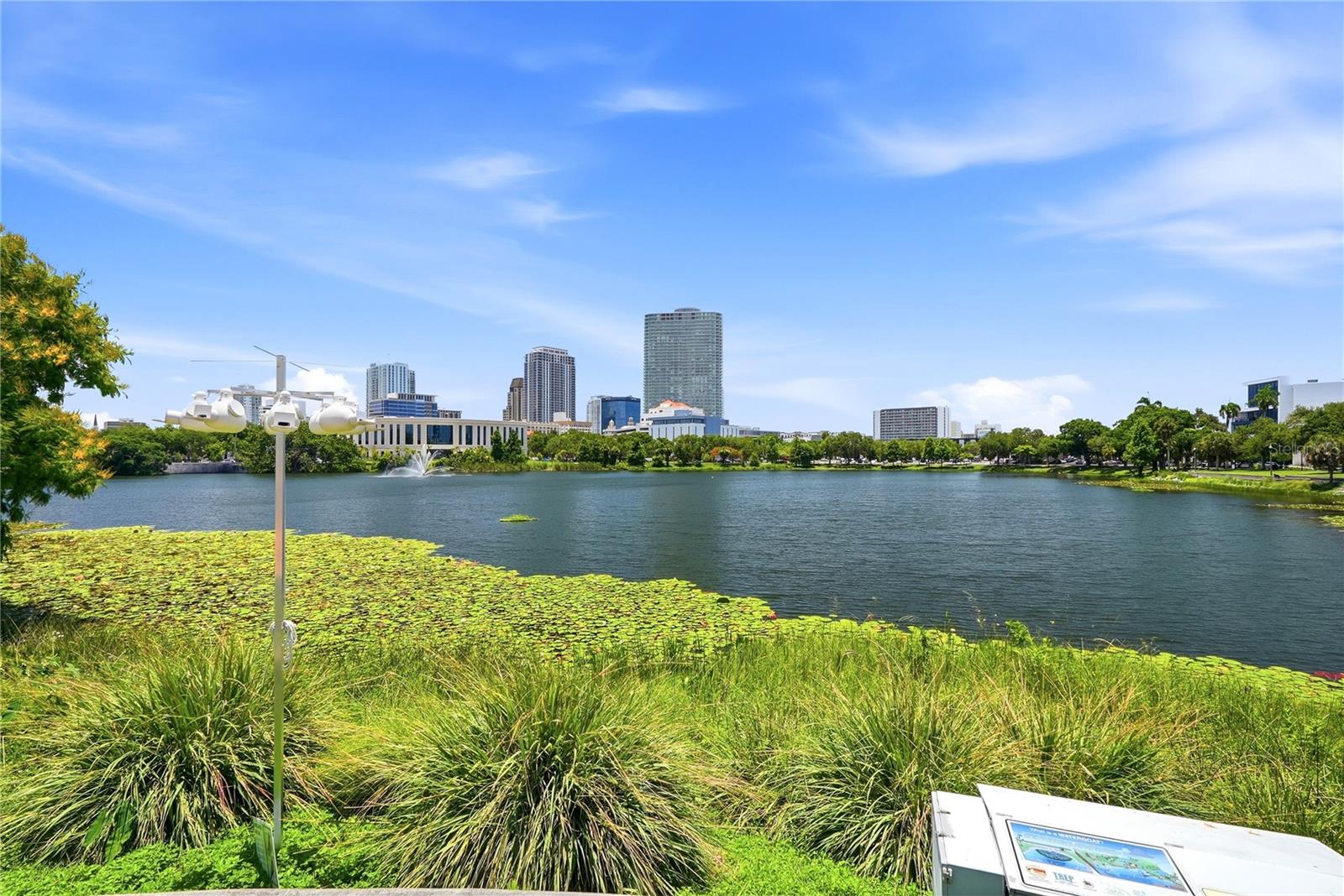 701 MIRROR LAKE CONDO - Residential