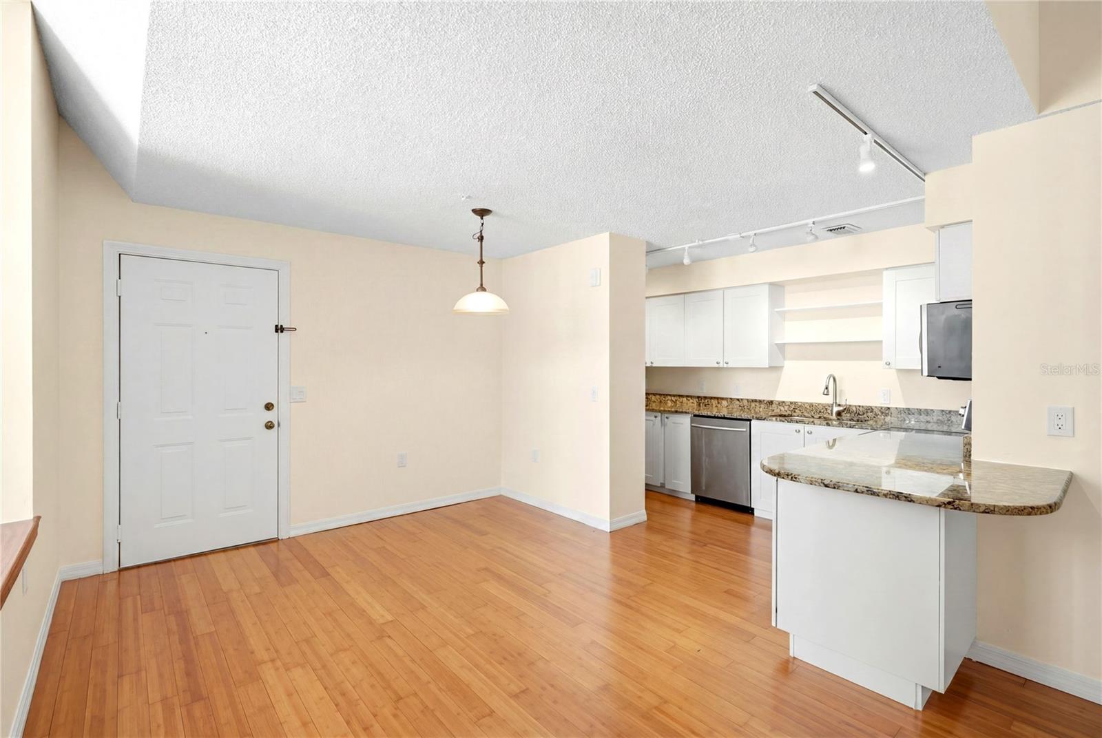 701 MIRROR LAKE CONDO - Residential