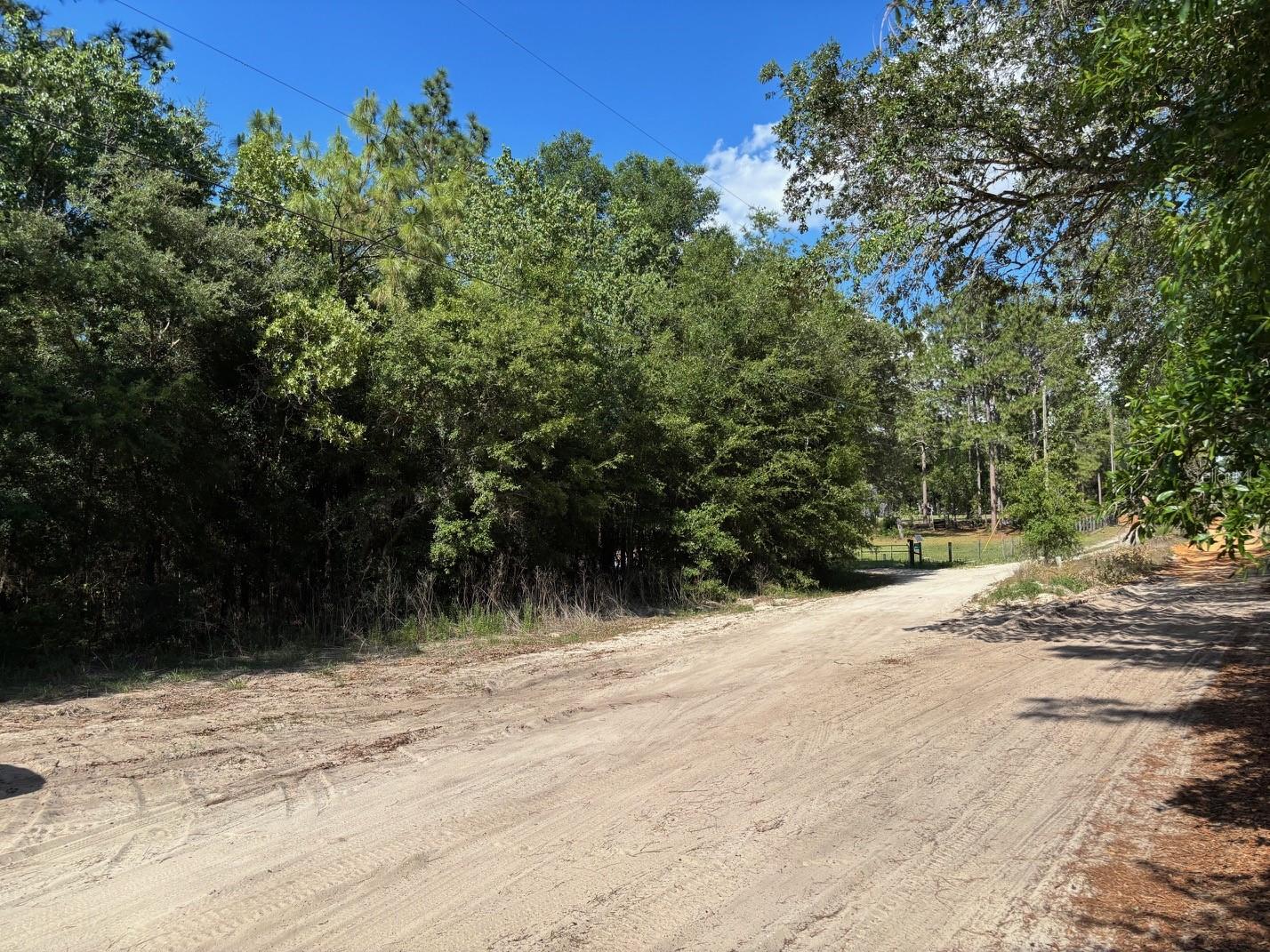 Build your dream lifestyle on this beautiful 1.16-acre parcel tucked away on a peaceful country road in the heart of Dunnellon! Surrounded by natural beauty and endless possibilities, this undeveloped property offers the perfect canvas for your custom home, private retreat, mini farm, or weekend getaway. Enjoy the tranquility of country living while still being within reach of shopping, dining, outdoor recreation, and Florida’s famous rivers and springs. Bring your vision, your toys, and your imagination—whether you’re looking to create a quiet sanctuary under the stars or invest in land for the future, this property is full of opportunity. No HOA, no limits to your dreams! Adjacent parcel is also available for sale, offering even more potential and privacy. See MLS #L4962255 for additional details.