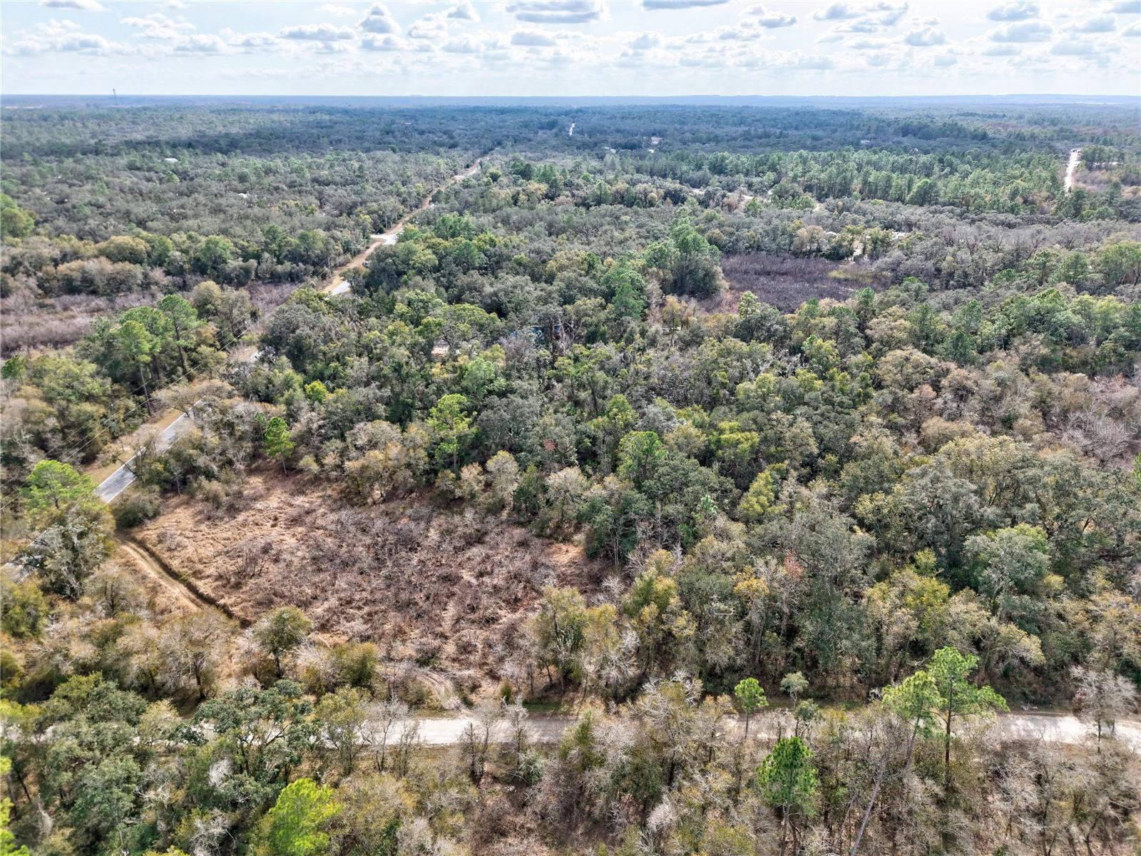 RIDGE MANOR ESTATE - Land