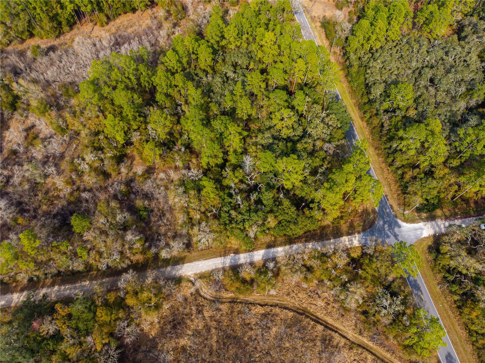 RIDGE MANOR ESTATE - Land