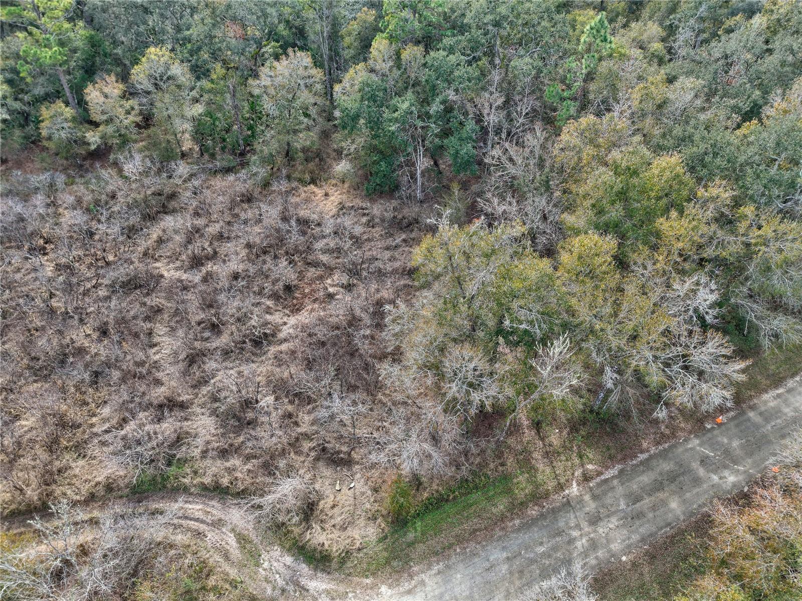 RIDGE MANOR ESTATE - Land