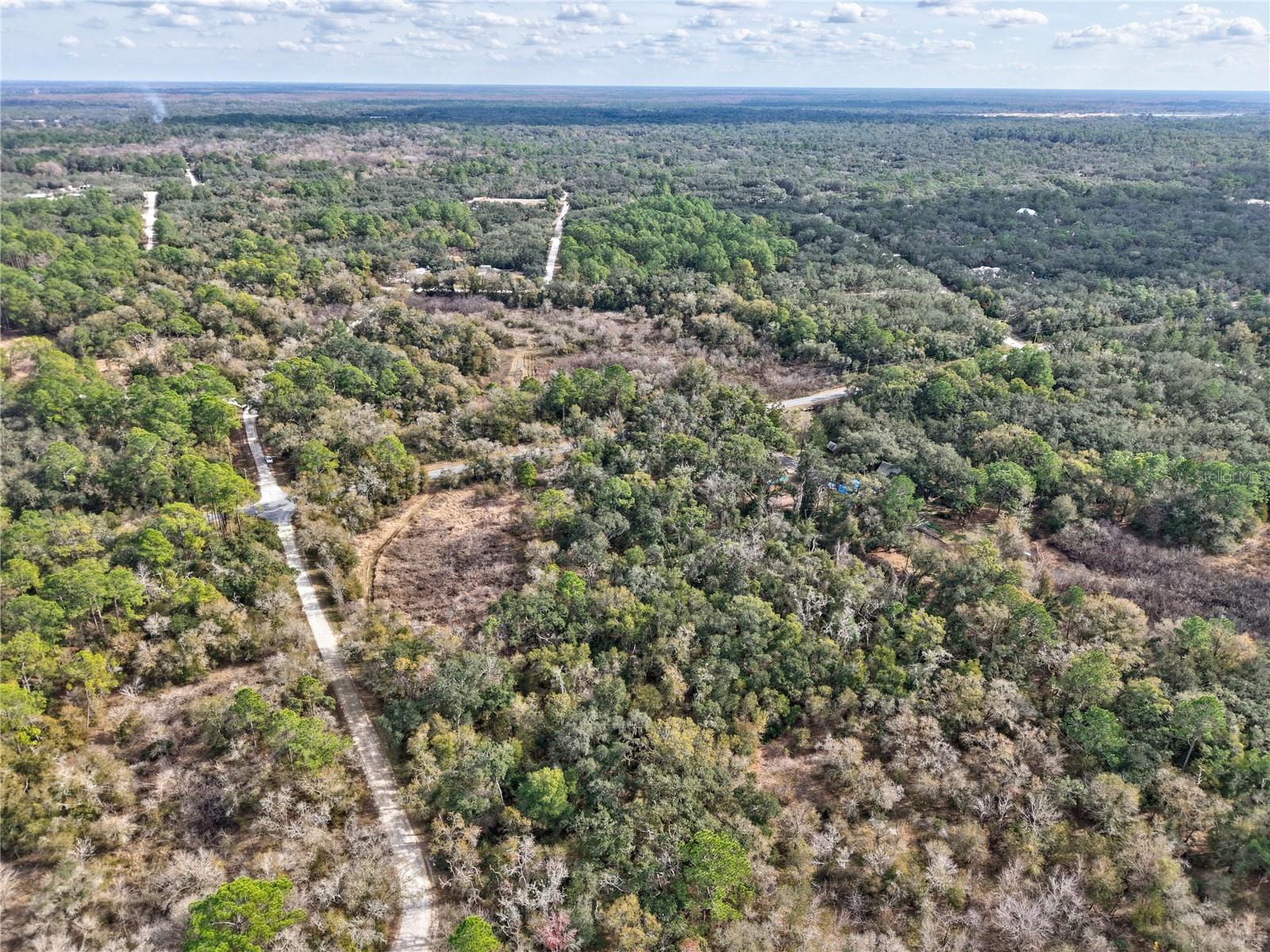 RIDGE MANOR ESTATE - Land
