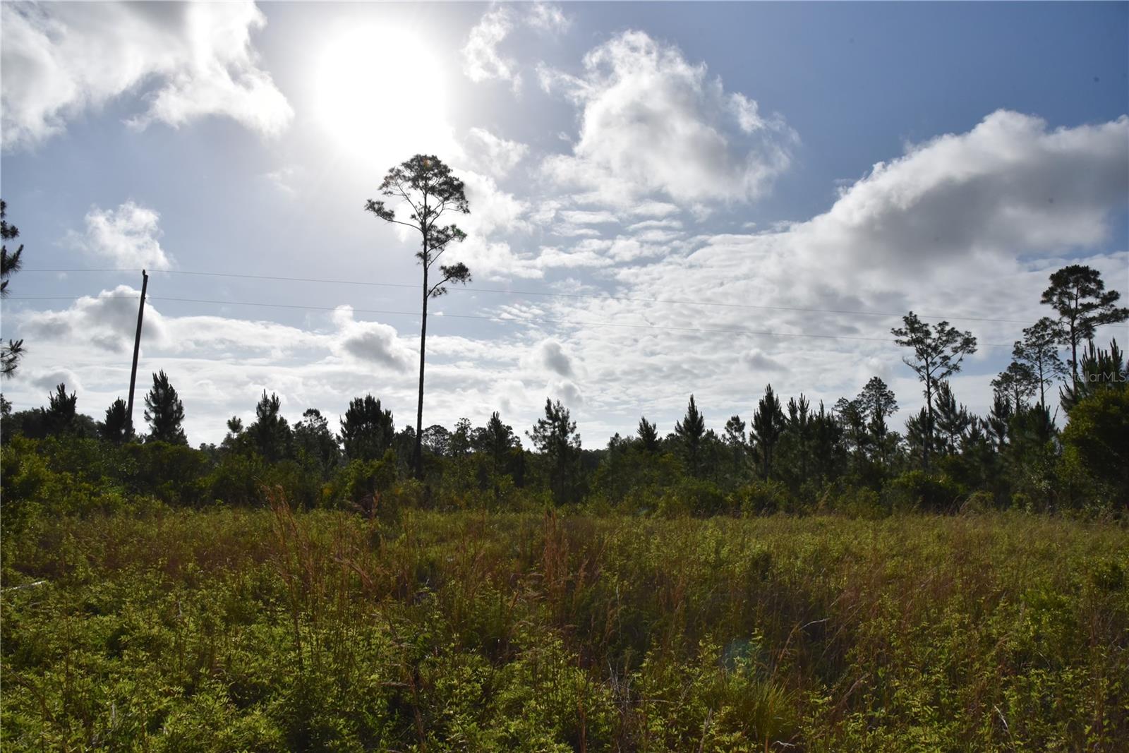 Discover the potential of this beautiful 7.84±-acre vacant land property, offering a peaceful rural setting with plenty of room to create your ideal homesite, recreational retreat, or private hunting getaway. With a narrow, deep layout, this tract offers privacy, versatility, and easy access from the roadway. 
Approximately three-quarters of the property has already been selectively cleared, creating a great balance of open space and natural wooded cover. The selective clearing improves the land's usability while still preserving the privacy and natural beauty that make properties like this so appealing. Whether you envision building a custom home, placing a mobile or manufactured home, creating a weekend retreat, or simply owning your own piece of land to enjoy, this property offers a strong foundation to bring your plans to life. 
Power is available along the roadside, helping simplify future development. The partially cleared acreage provides multiple potential build sites while still leaving plenty of room for trails, food plots, recreation, or additional improvements. As you move deeper into the property, the land takes on a more secluded feel, making it ideal for those seeking peace, quiet, and privacy. 
This property is also a great opportunity for hunting and outdoor recreation. The area is home to abundant deer, turkeys, hogs, and other native wildlife, making it an excellent choice for hunters or anyone who enjoys spending time outdoors. The mix of cleared areas and wooded cover creates ideal habitat and travel corridors for wildlife while also offering excellent opportunities for observation and recreation. 
Small-acreage tracts with improvements already underway are becoming increasingly difficult to find, especially those with power available and some clearing already completed. 
Whether you are looking to build now, establish a hunting property, or invest for the future, this 7.84± acre tract offers endless possibilities in a quiet country setting.