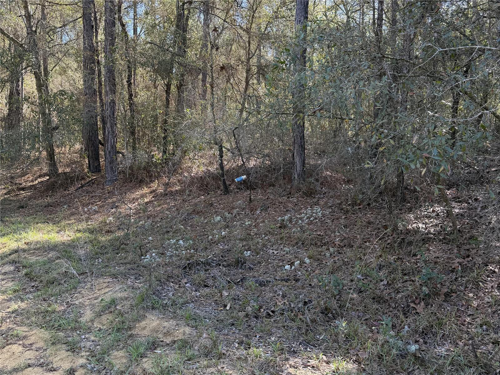 TWIN LAKE ESTATES - Land