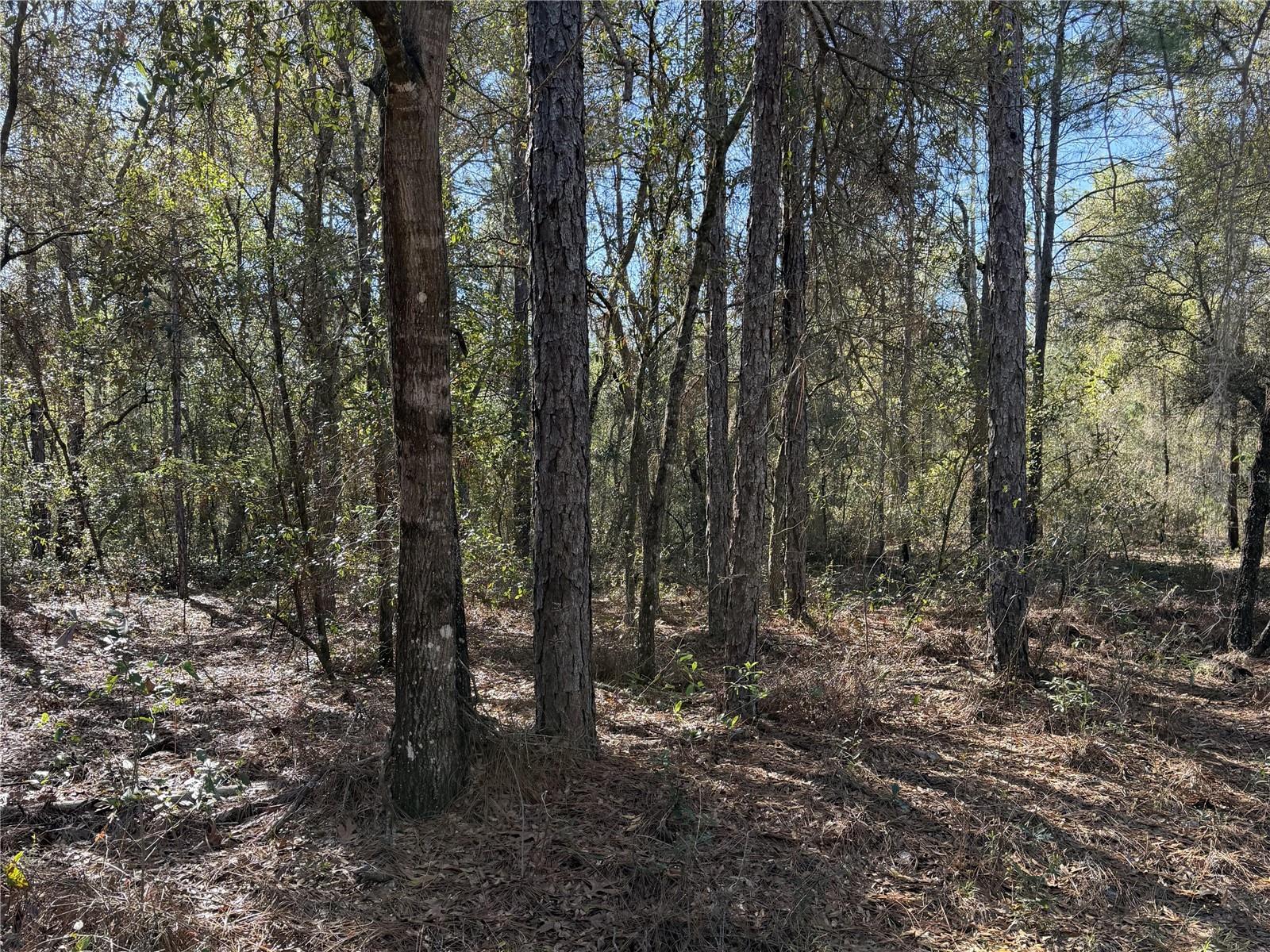 TWIN LAKE ESTATES - Land