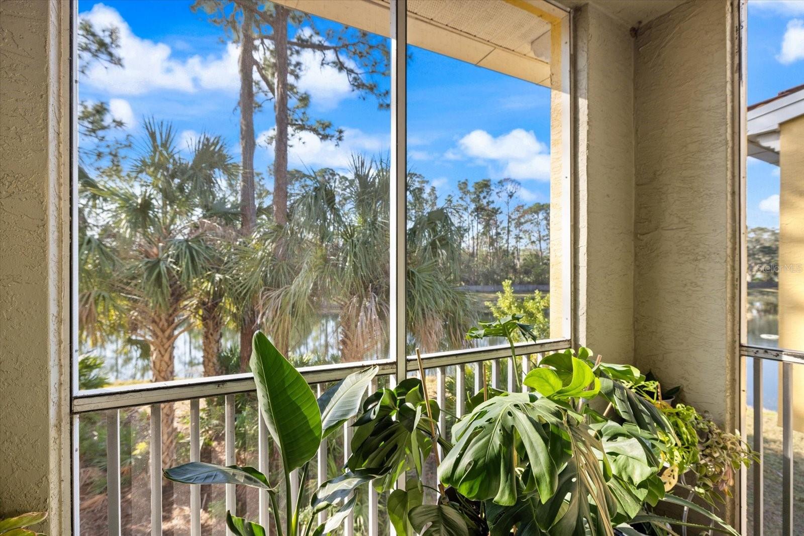 LAS PALMAS OF SARASOTA - Residential