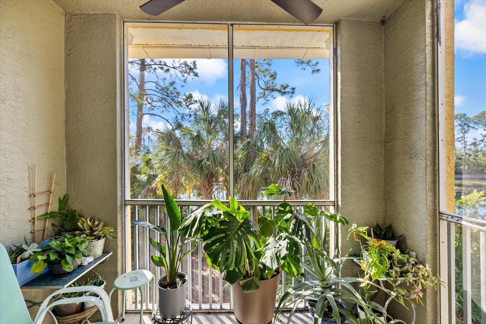 LAS PALMAS OF SARASOTA - Residential