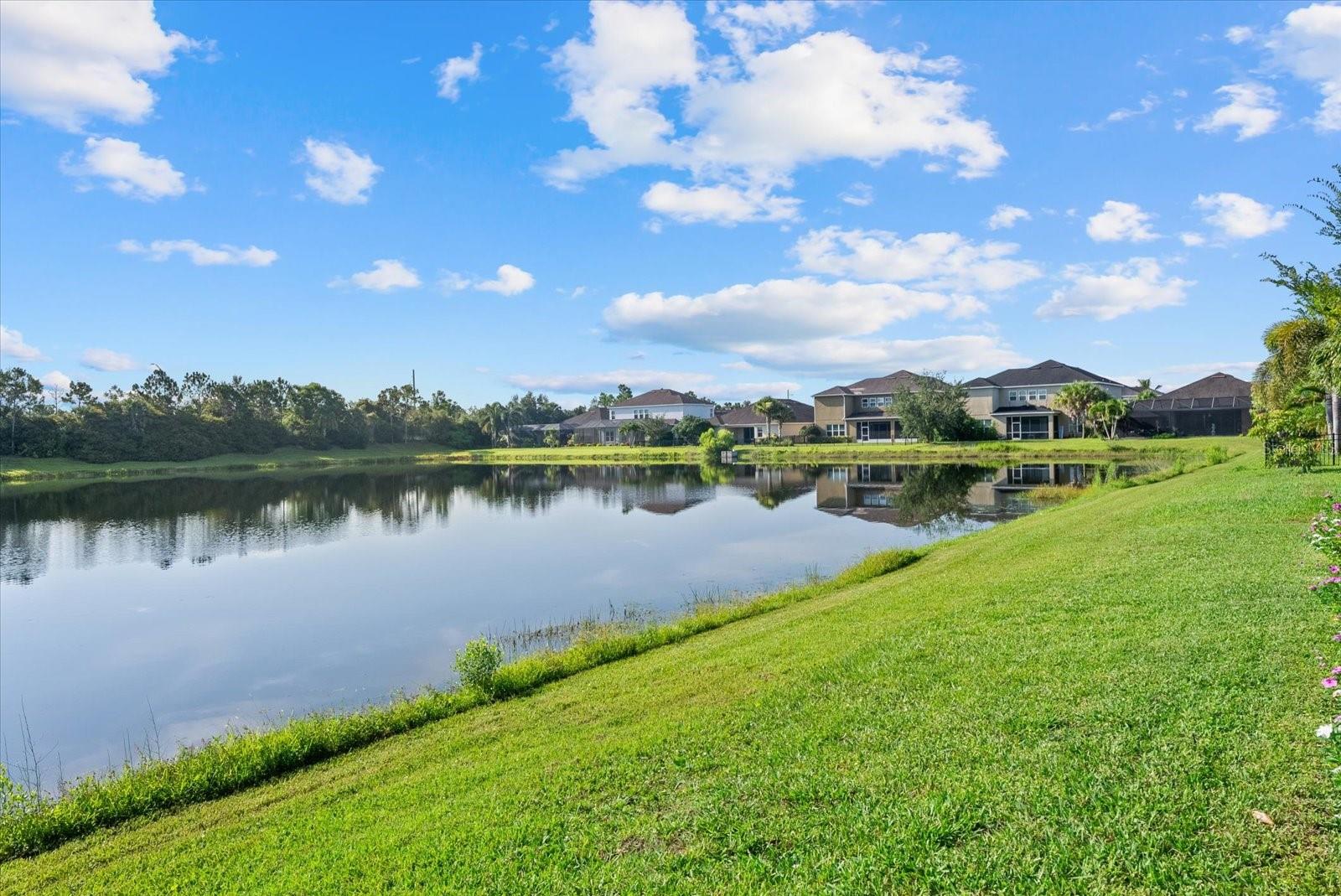 ARBOR LAKES ON PALMER RANCH - Residential