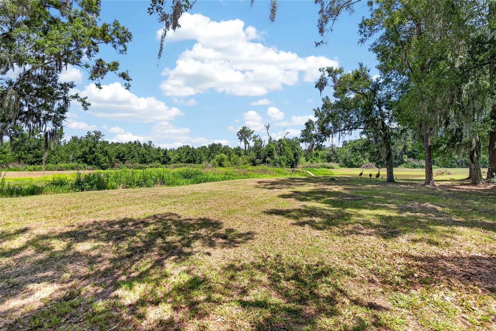 GROVEWOOD - Residential