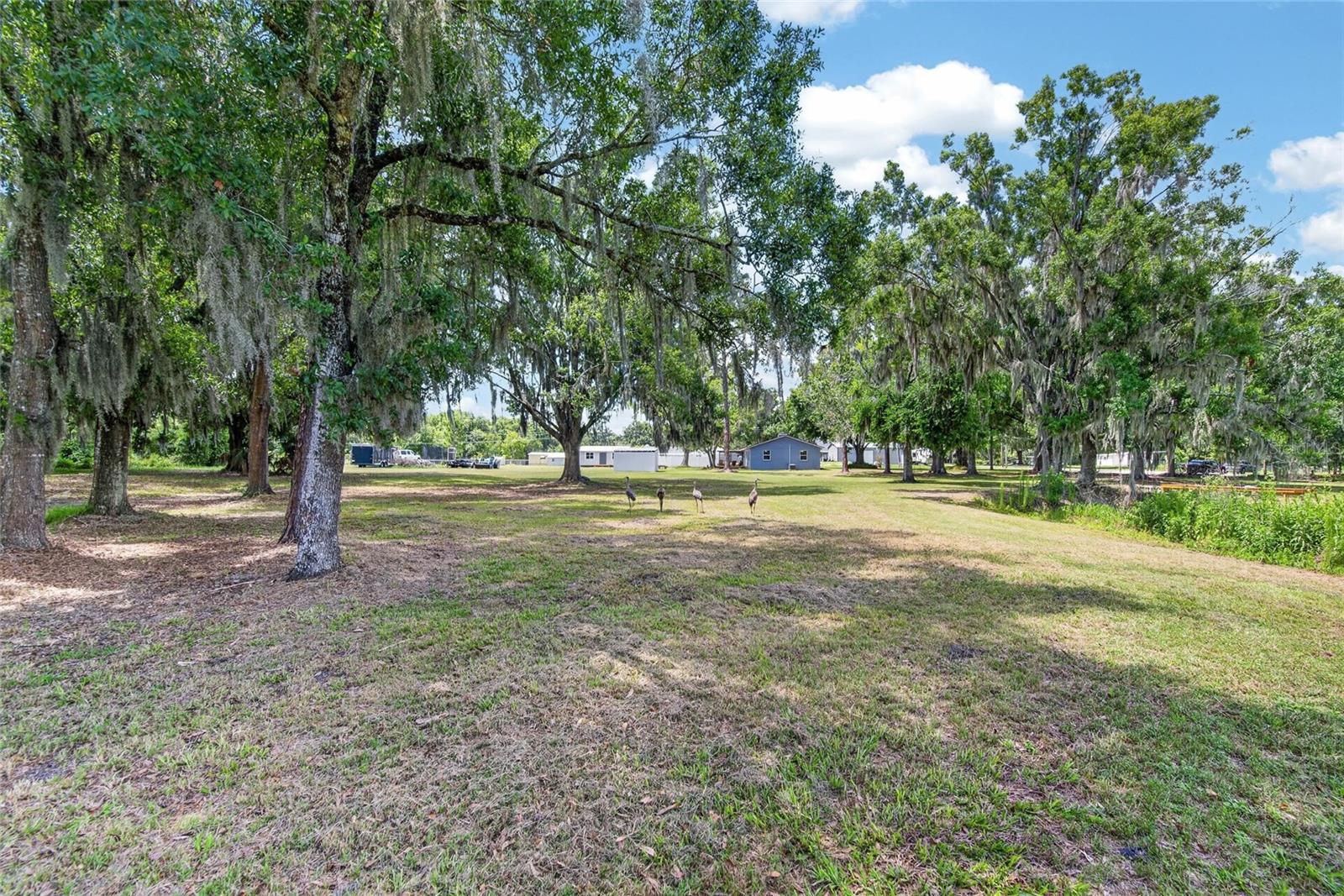 GROVEWOOD - Residential