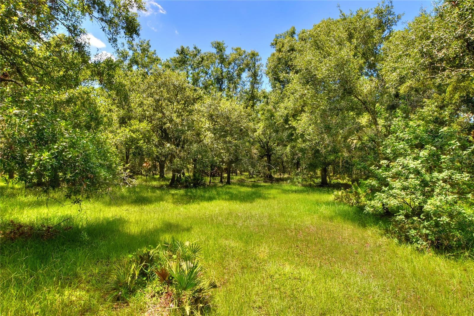 UNPLATTED - Land