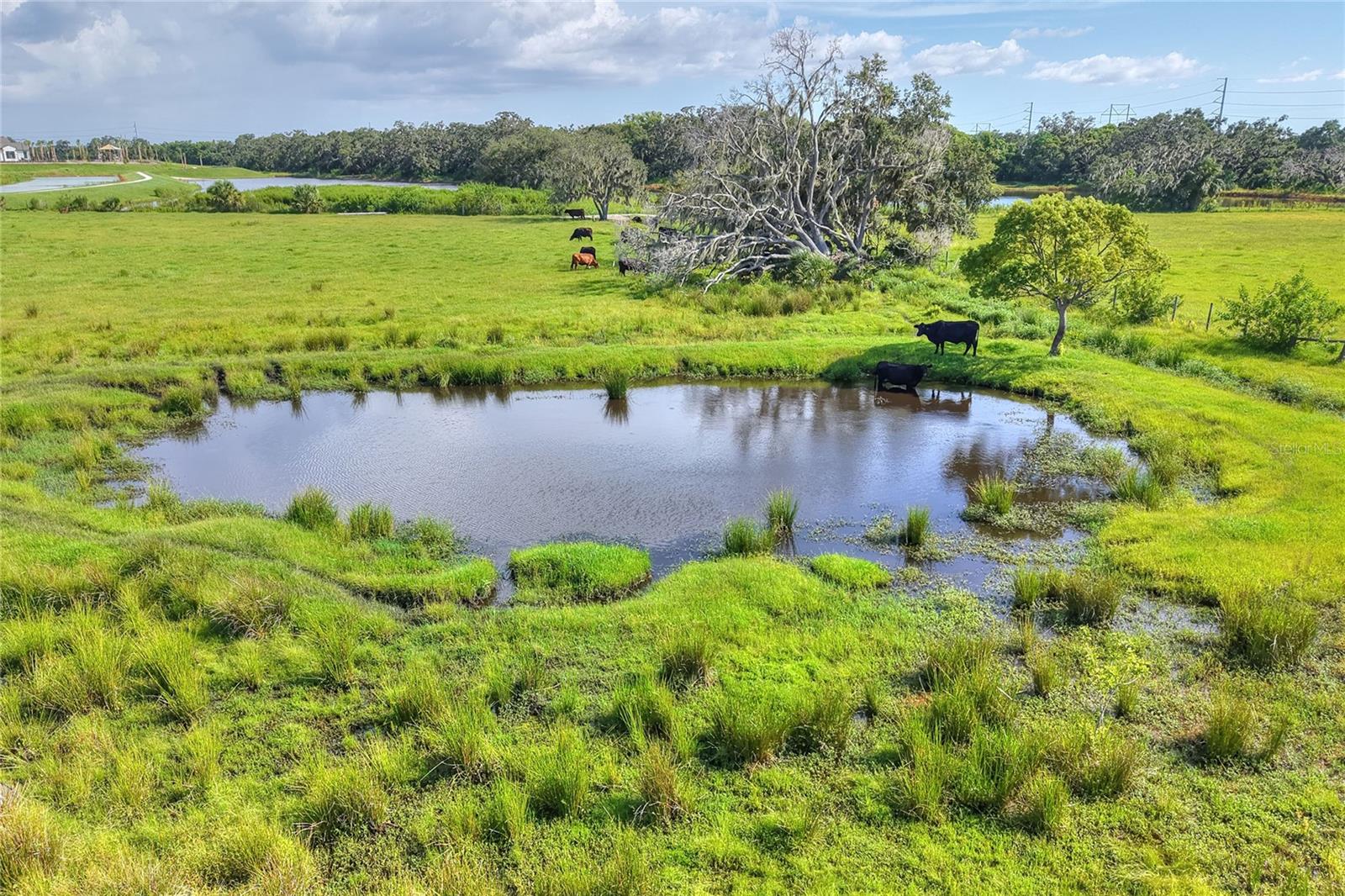 UNPLATTED - Land