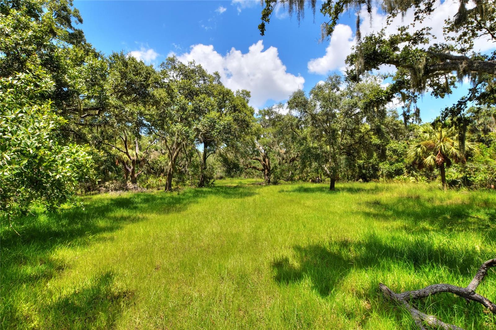 UNPLATTED - Land