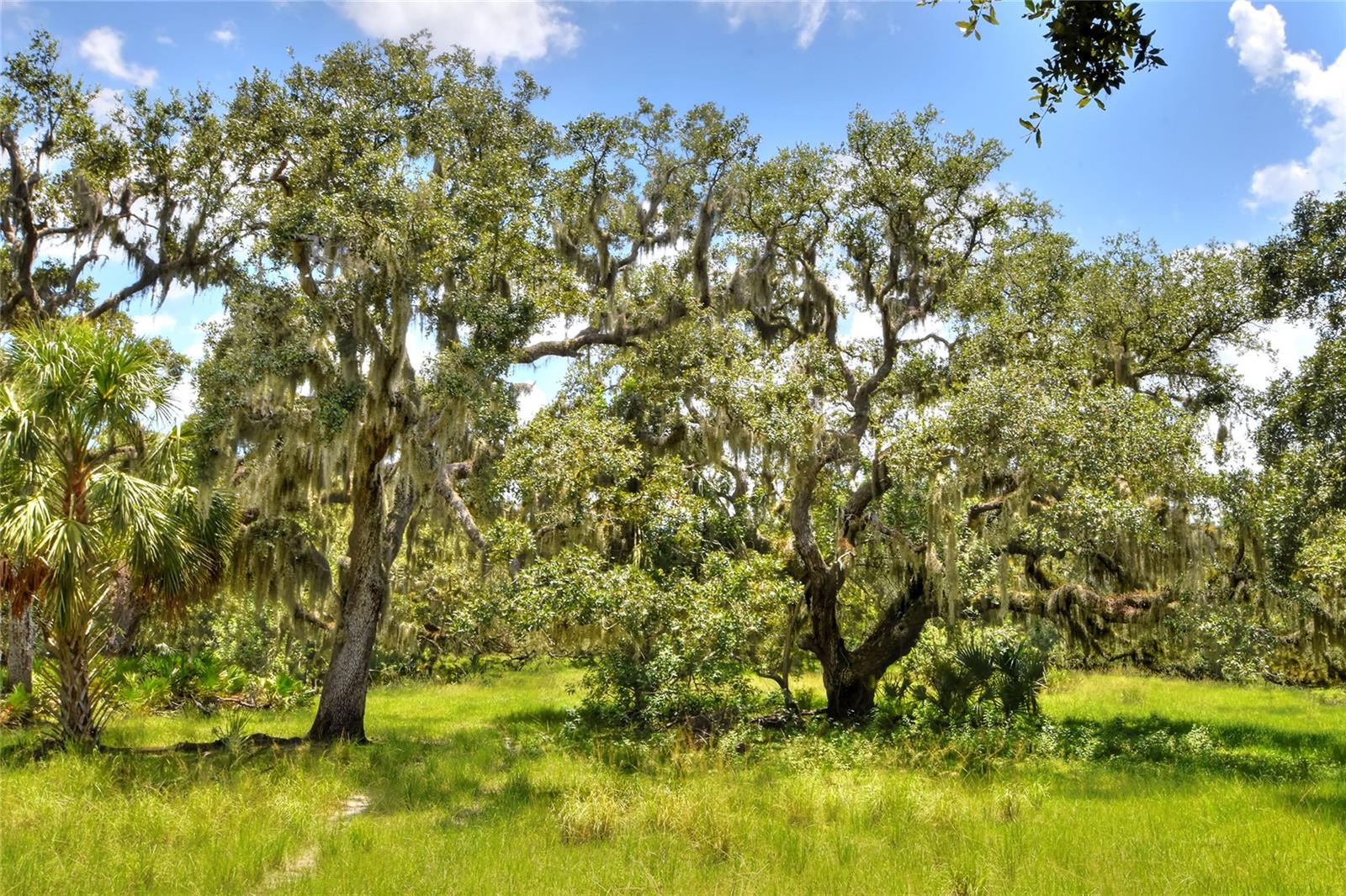 UNPLATTED - Land