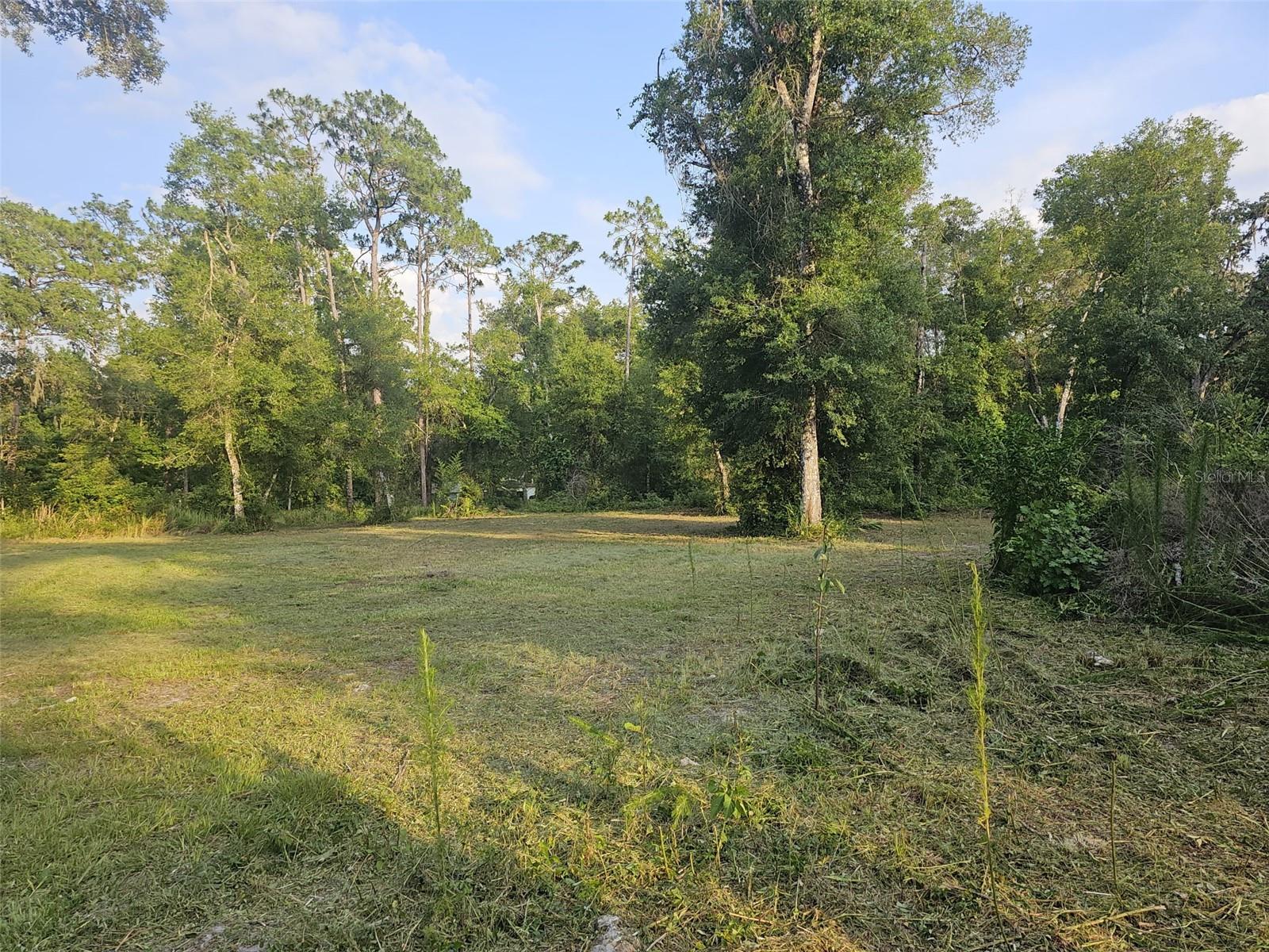 Are you looking for a nice piece of property for your new home.? Well come check this one out. 2.5 acres partially cleared wooded lot, with plenty of area already cleared for your home site. Zoning allows for a site built, modular or manufactured home. No HOA!!! Property is high and dry. This area is conveniently located for easy access to I75.  Tampa/St. Pete area beaches and attractions.  Orlando with all the Central Florida attractions or into the Villages with all their amenities.