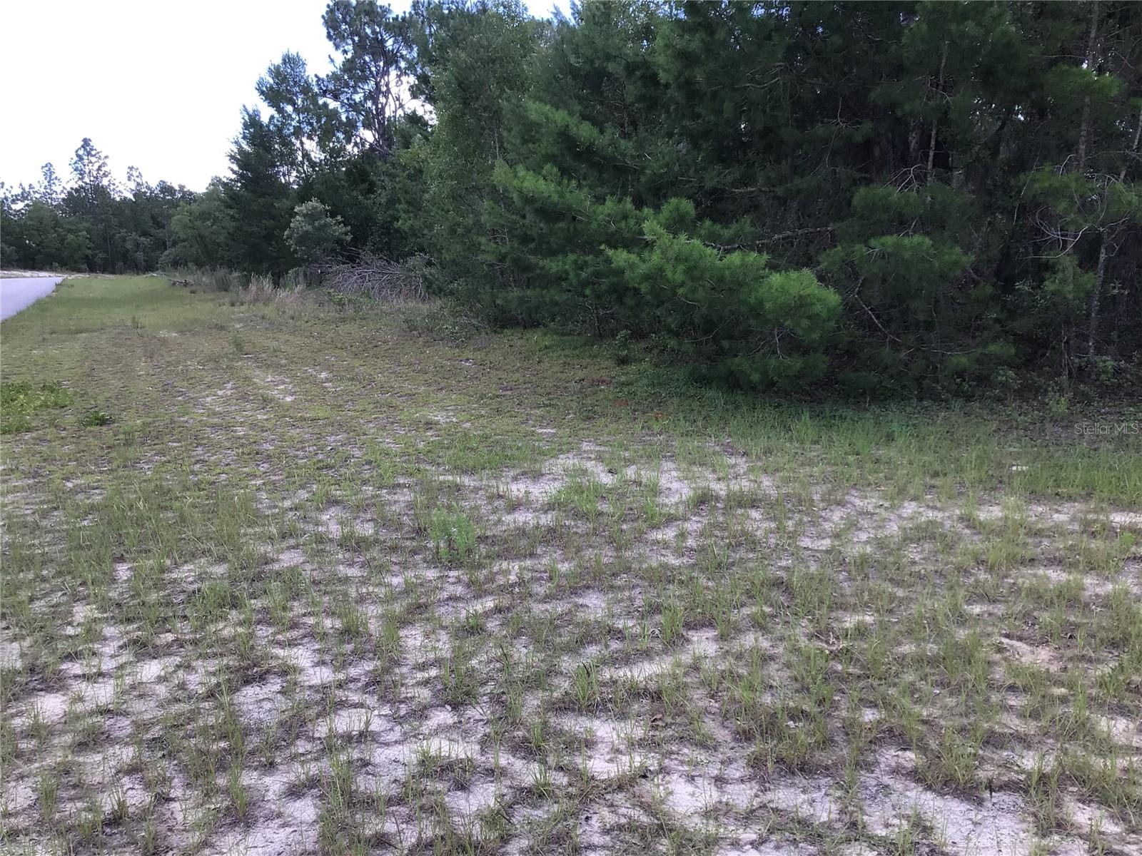MARION OAKS - Land