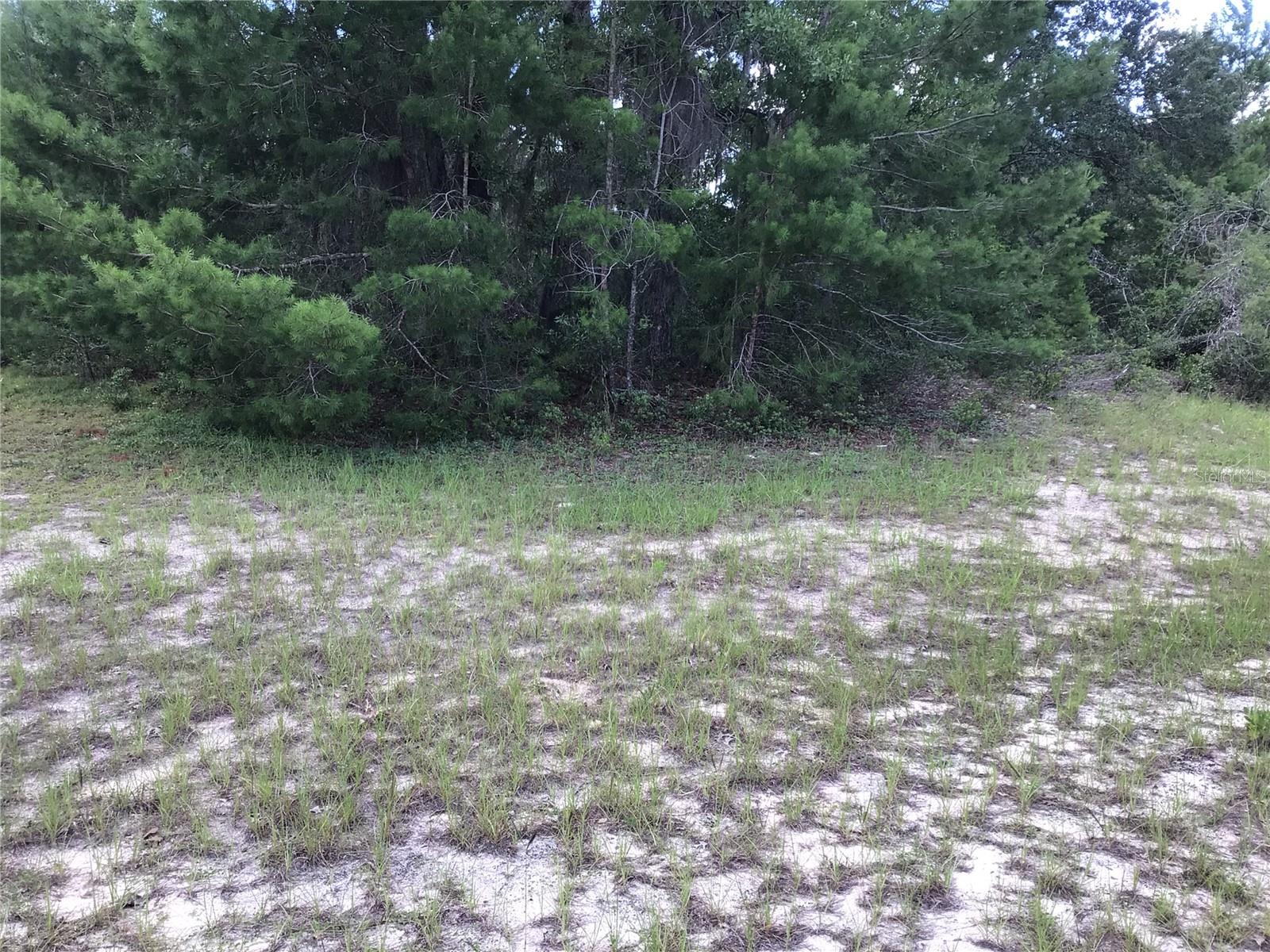 MARION OAKS - Land