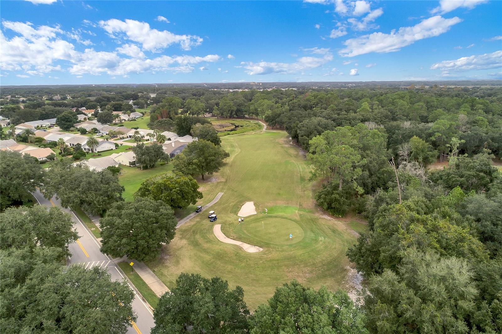 PLANTATION AT LEESBURG GREENTREE - Residential
