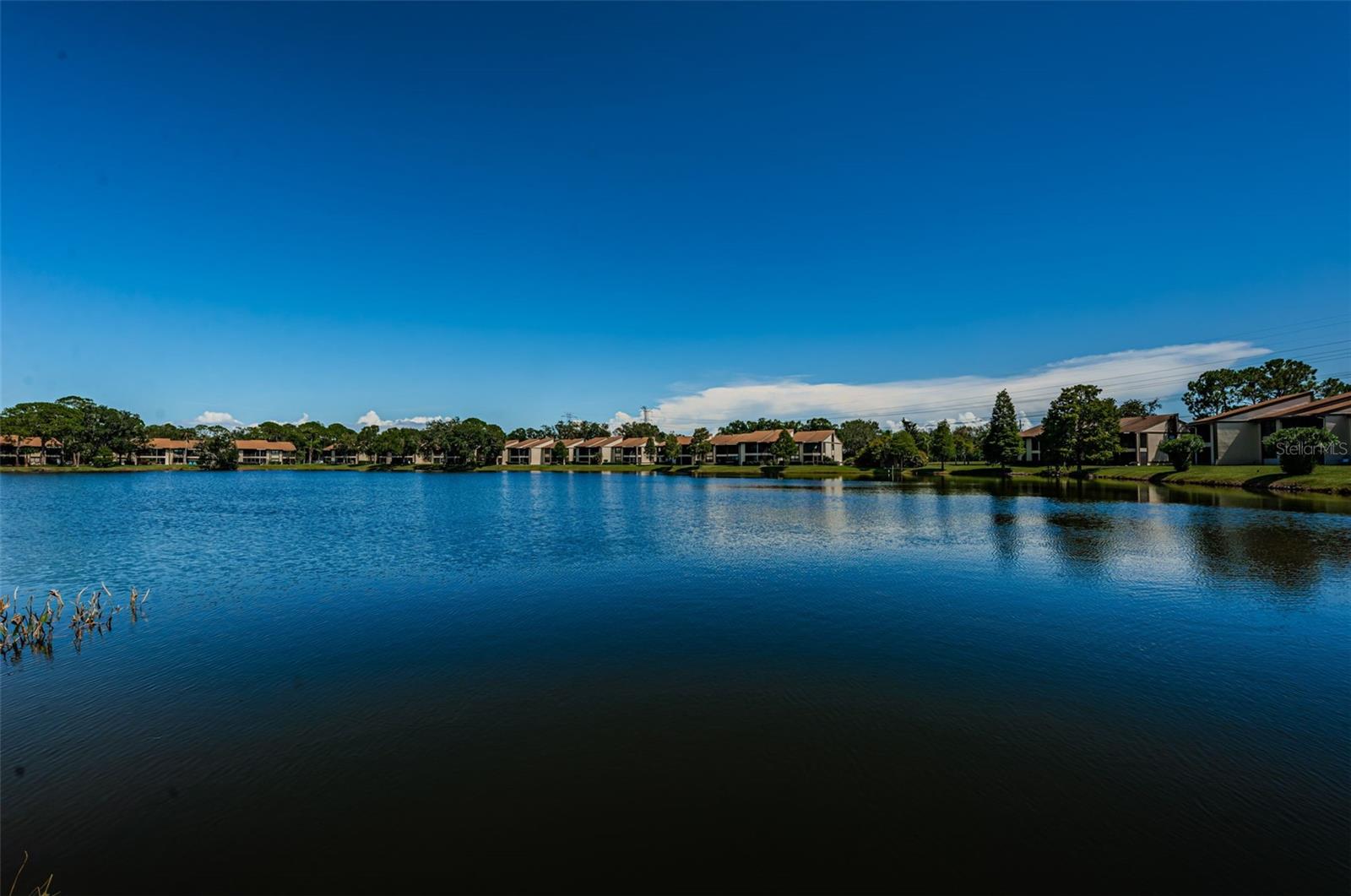 EAST LAKE WOODLANDS WOODLAKE RUN - Residential