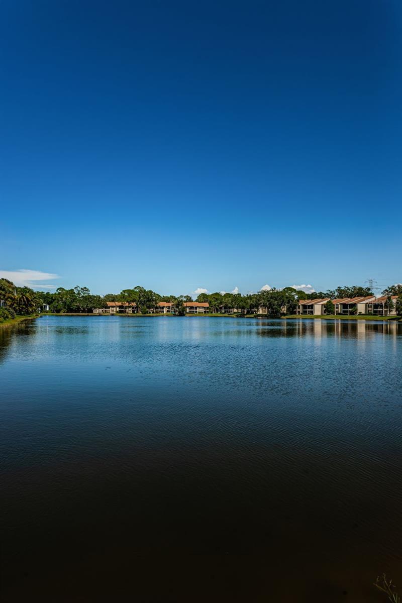 EAST LAKE WOODLANDS WOODLAKE RUN - Residential