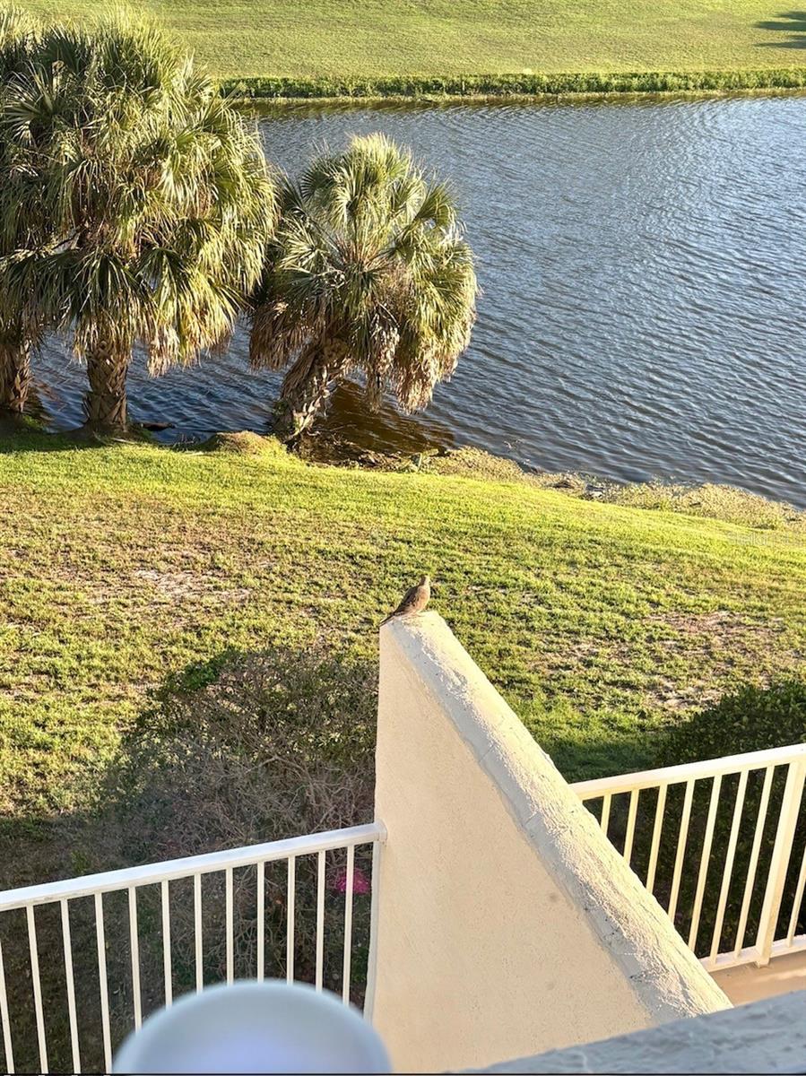 COUNTRY CLUB CONDO AT EAST BAY - Residential