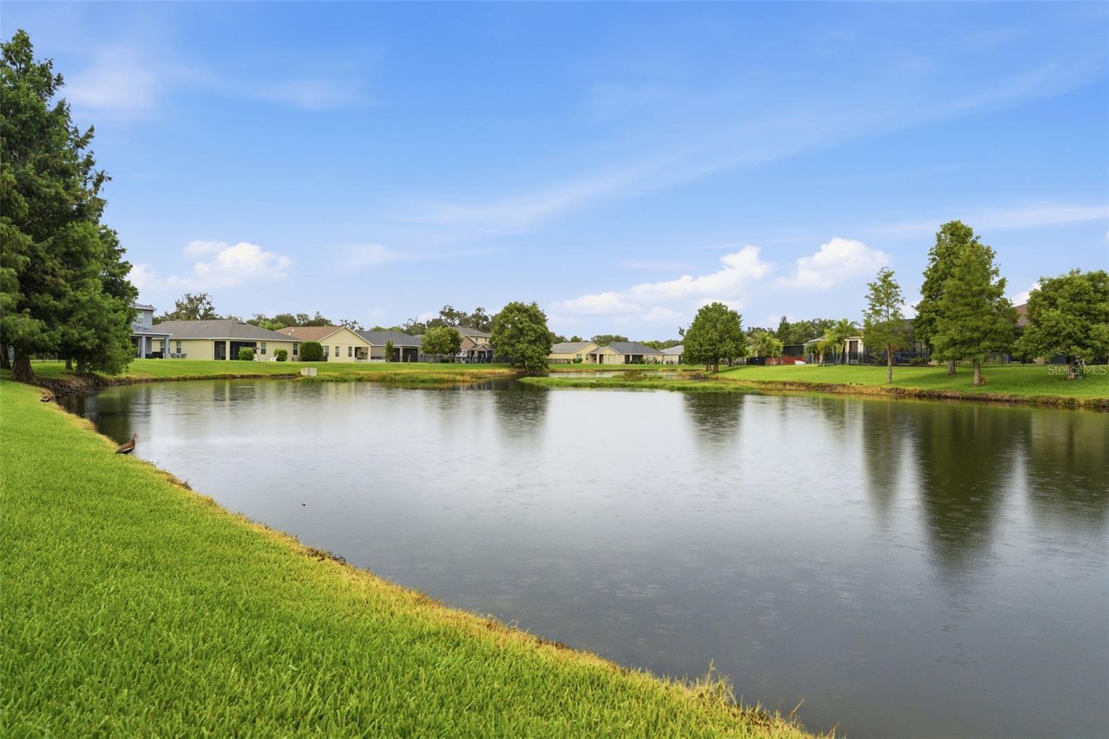 CREEKSIDE PRESERVE II - Residential