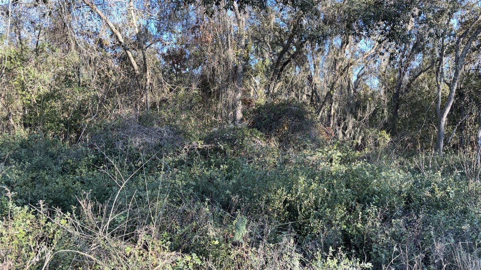 MOON LAKE ESTATES - Land