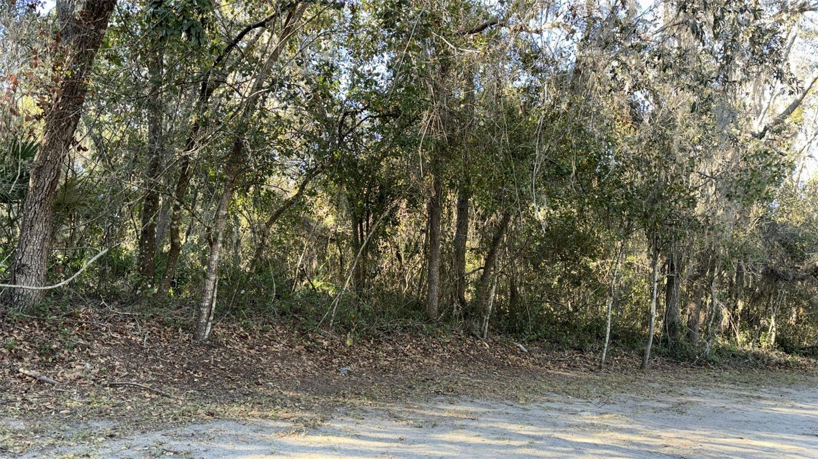 MOON LAKE ESTATES - Land