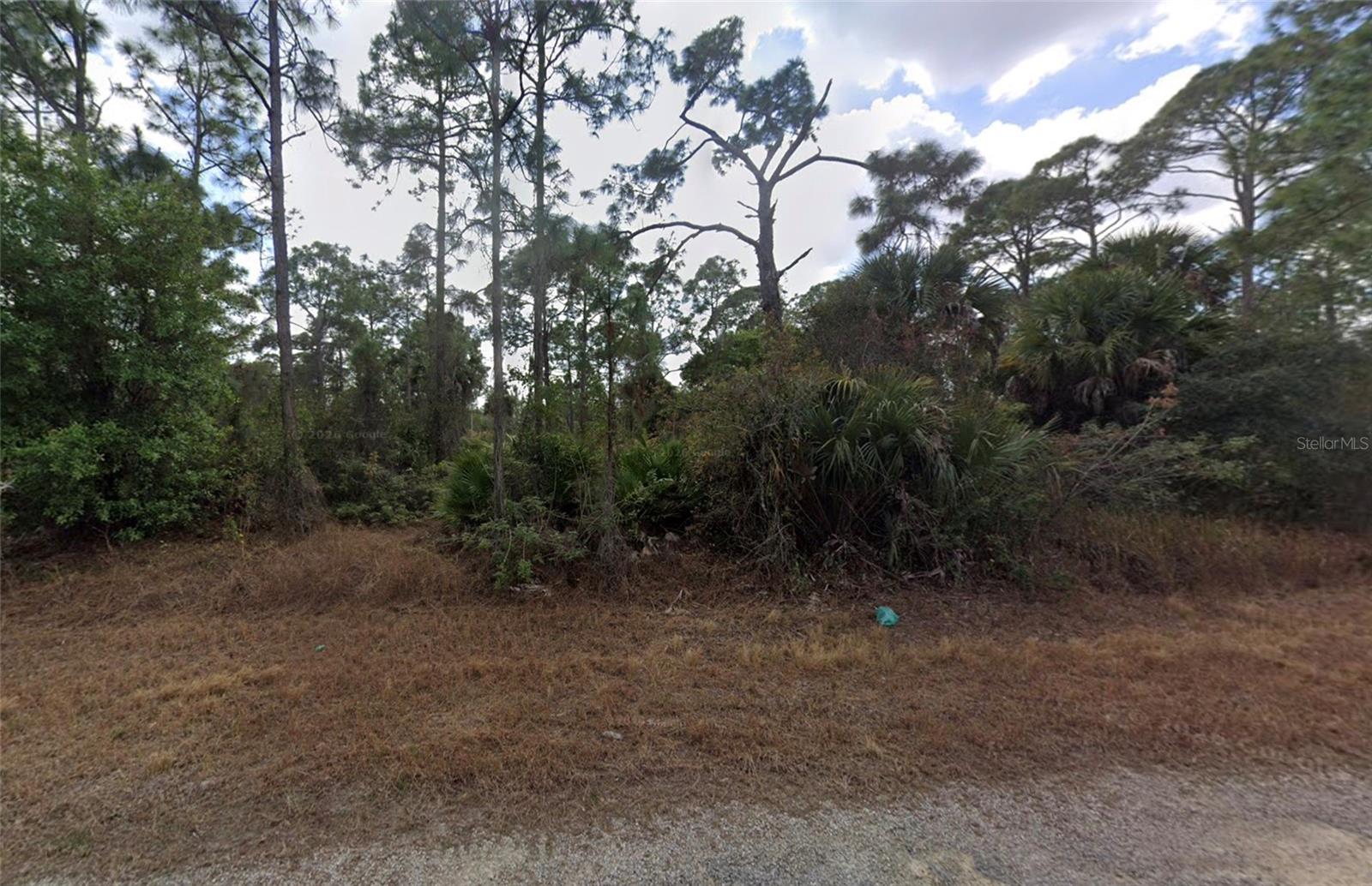 LEHIGH ACRES - Land