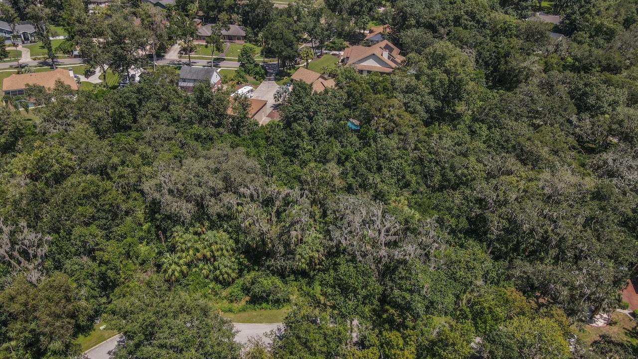 ALAFIA PRESERVE - Land