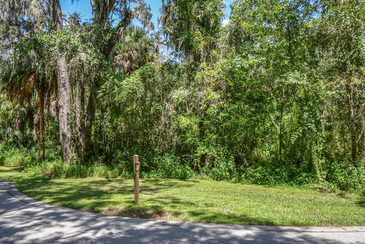 ALAFIA PRESERVE - Land