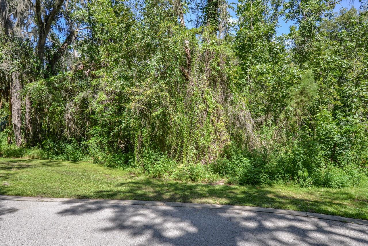 ALAFIA PRESERVE - Land