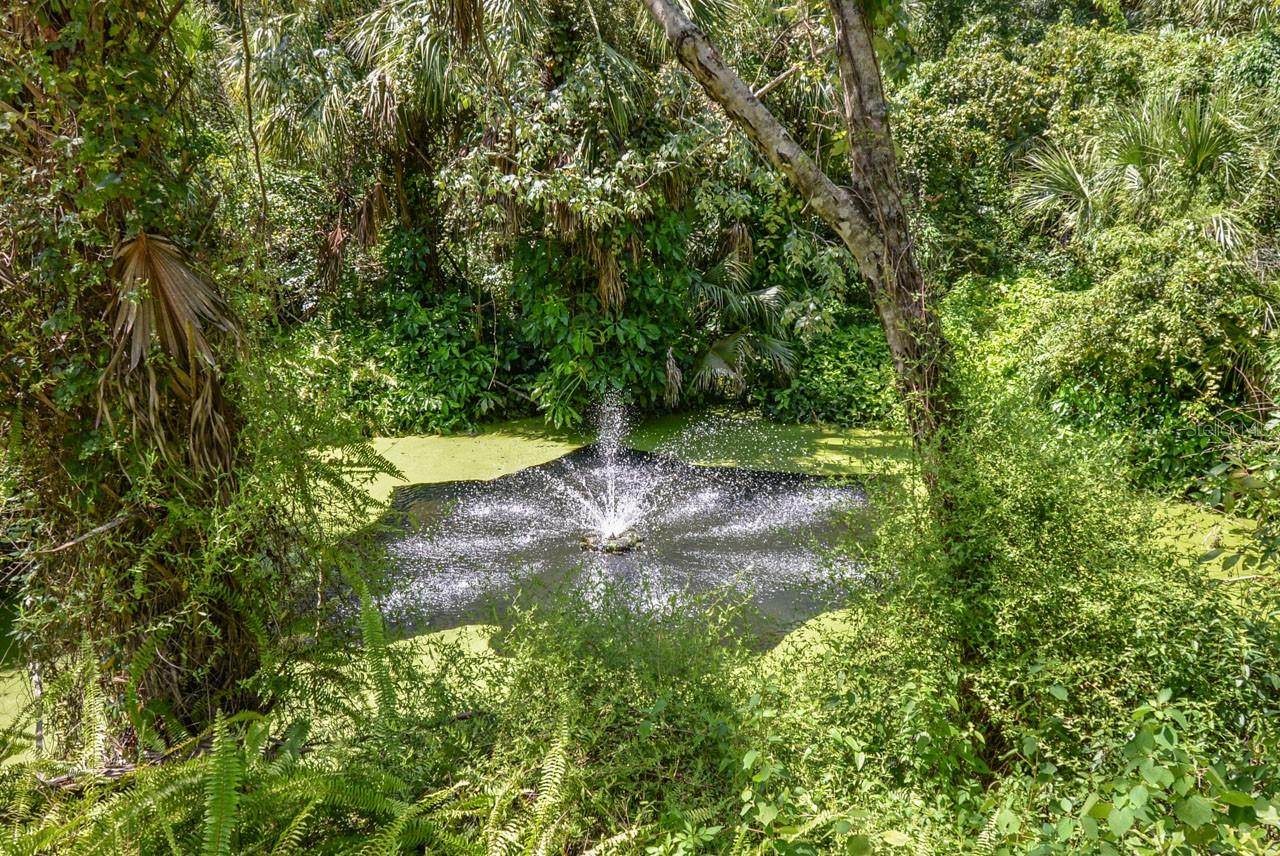 ALAFIA PRESERVE - Land