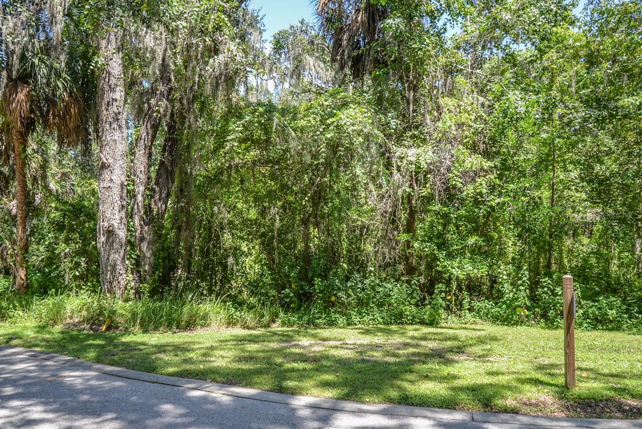 ALAFIA PRESERVE - Land