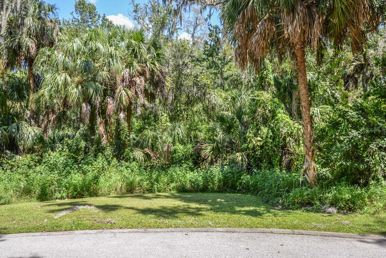 ALAFIA PRESERVE - Land