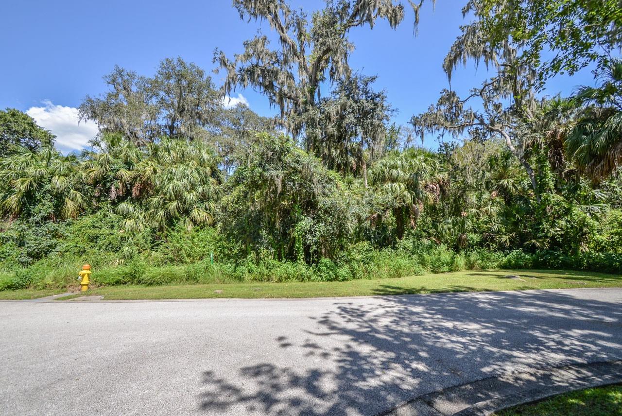 ALAFIA PRESERVE - Land