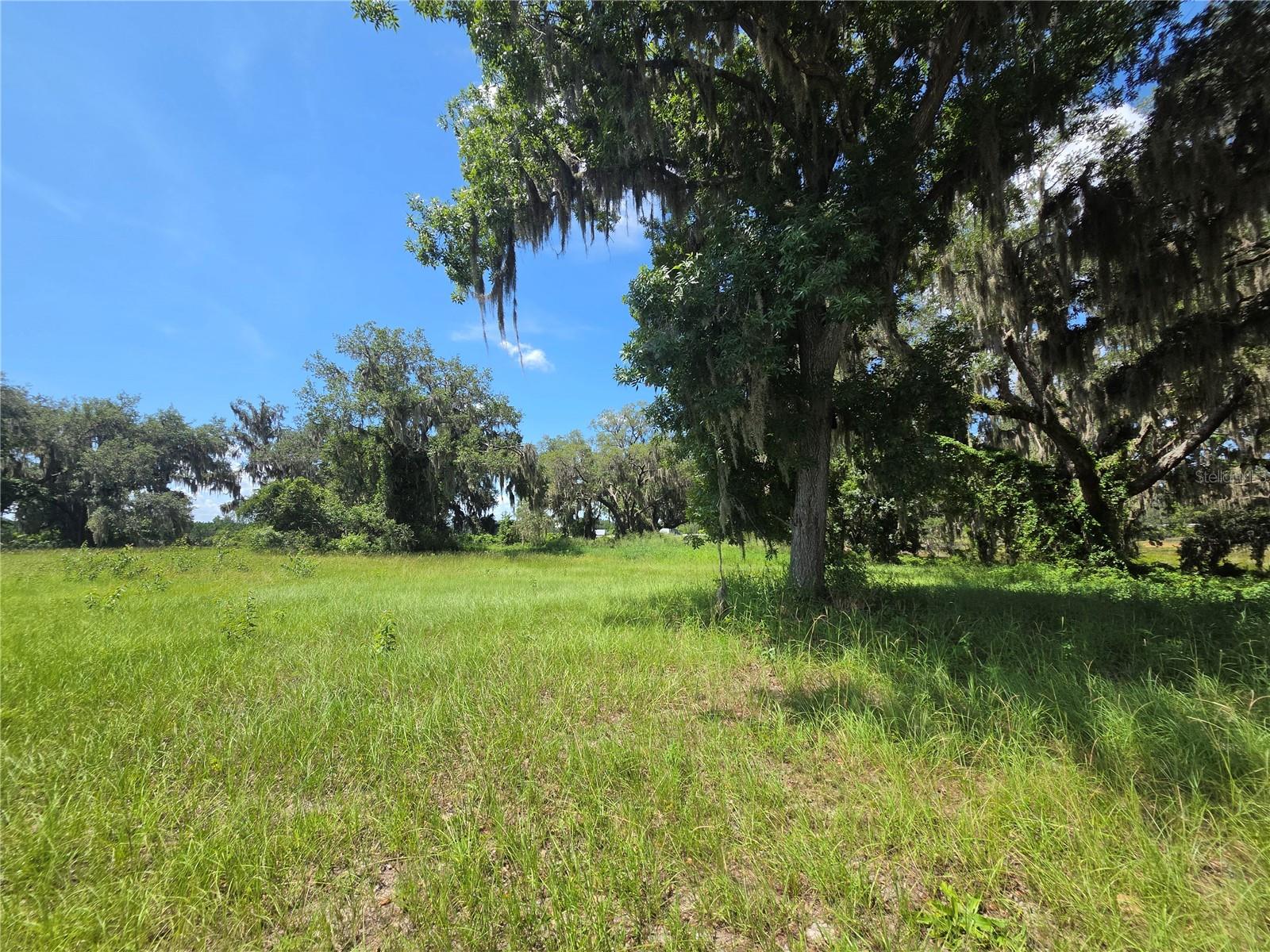 BLUE SPRING RESERVE - Land