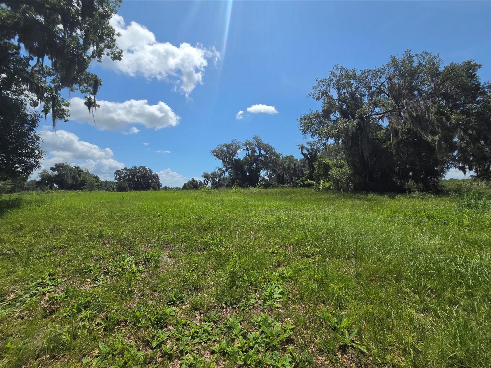 An extraordinary opportunity awaits to create the custom estate you've always envisioned in the prestigious gated community of Blue Spring Reserve. Set on an expansive 4.2-acre homesite with approximately 1 acre of buildable land, this exceptional property offers the perfect blend of privacy, luxury, and Florida's breathtaking natural beauty.

Surrounded by majestic oak trees, tranquil conservation areas, and abundant wildlife, Blue Spring Reserve is designed for those seeking an elevated lifestyle where every home is a one-of-a-kind masterpiece. Select the approved custom builder of your choice and build at your own pace, allowing your vision to come to life without the pressure of restrictive construction timelines.

Residents will enjoy the security and exclusivity of a 24-hour gated entrance while experiencing the serenity of estate living just minutes from modern conveniences. Located only about one mile from Florida's Turnpike and approximately 35 minutes from Downtown Orlando, you'll enjoy effortless access to fine dining, shopping, entertainment, Orlando's world-famous attractions, and major airports while returning home each day to a peaceful countryside retreat.

Whether you dream of a sprawling luxury residence with a resort-style pool, detached garage, guest house, or outdoor living spaces designed to embrace Florida's year-round sunshine, this remarkable home site provides the canvas to make it a reality.

Rare opportunities like this are becoming increasingly difficult to find. Discover the unmatched beauty, privacy, and prestige of Blue Spring Reserve and begin building the legacy home you've always imagined.