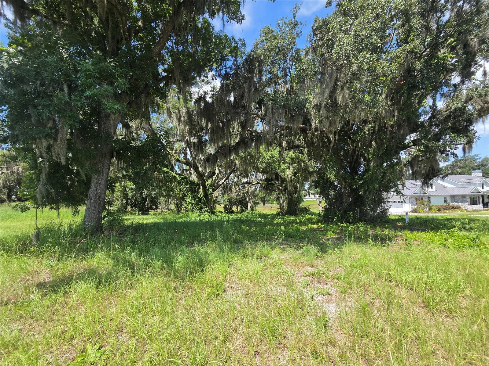 BLUE SPRING RESERVE - Land