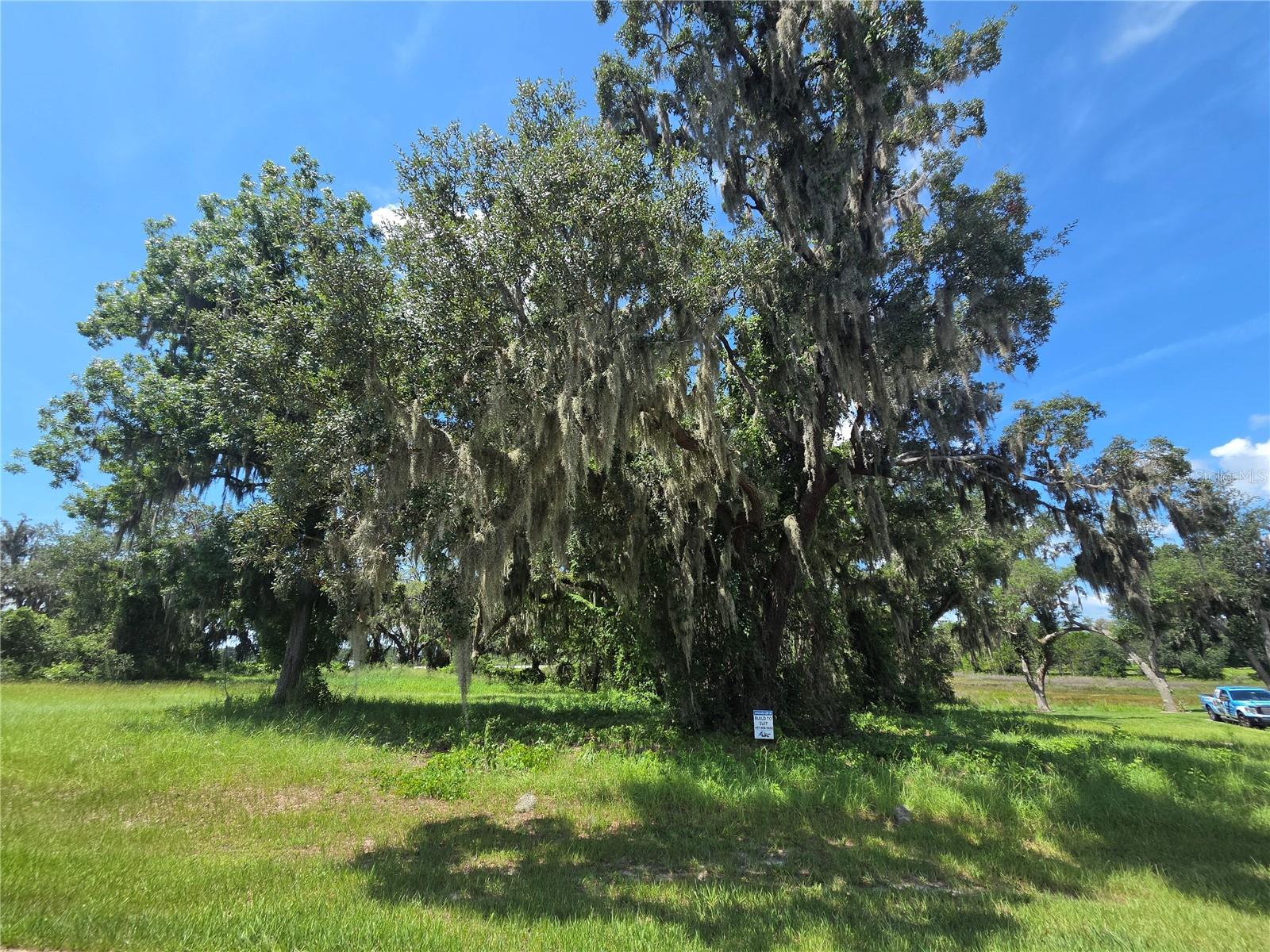 BLUE SPRING RESERVE - Land