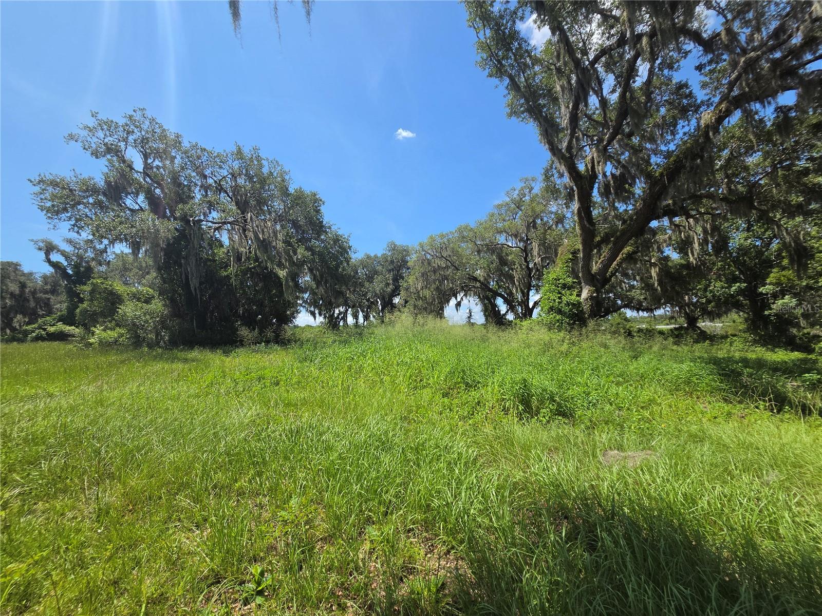 BLUE SPRING RESERVE - Land