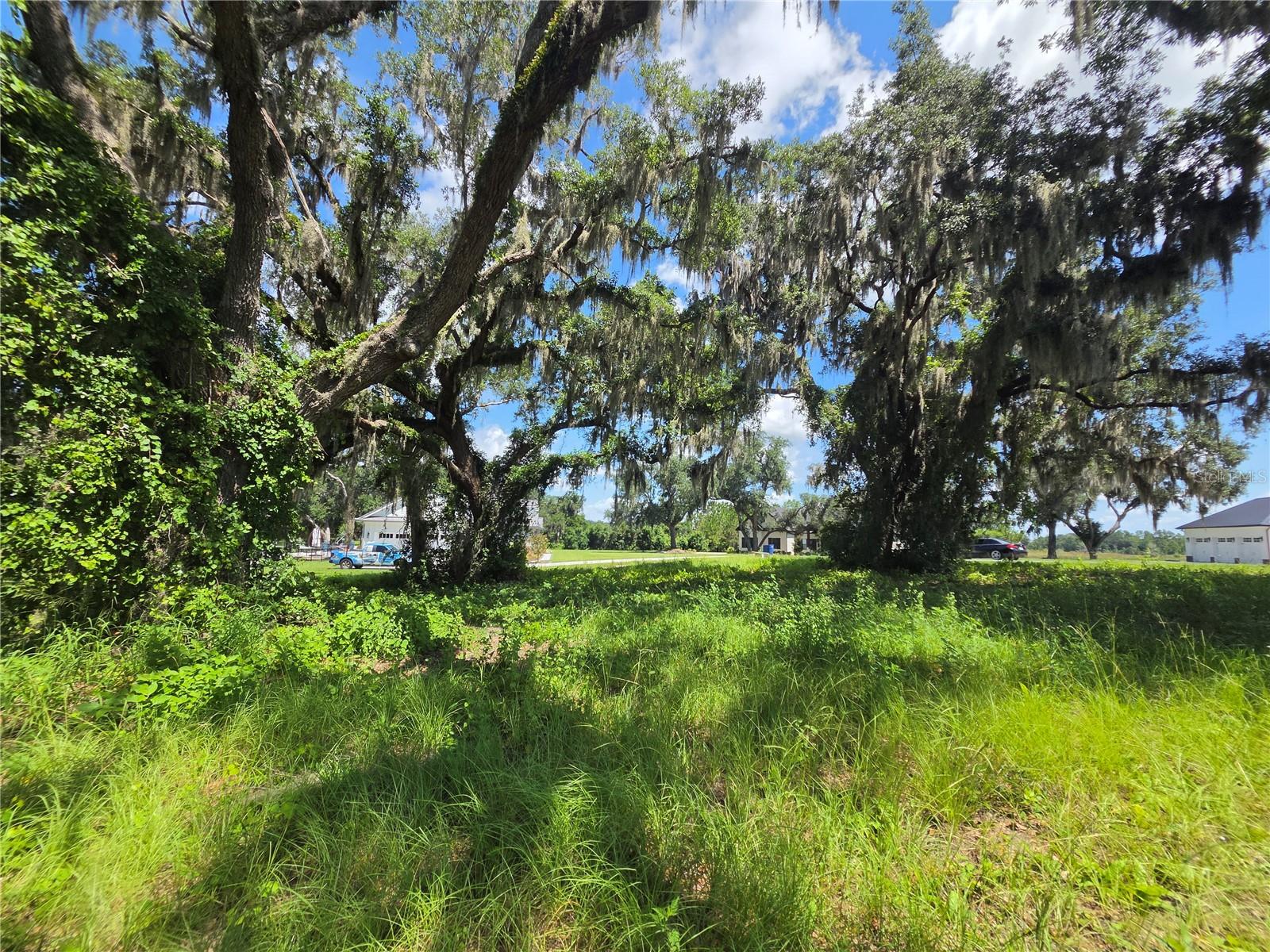 BLUE SPRING RESERVE - Land