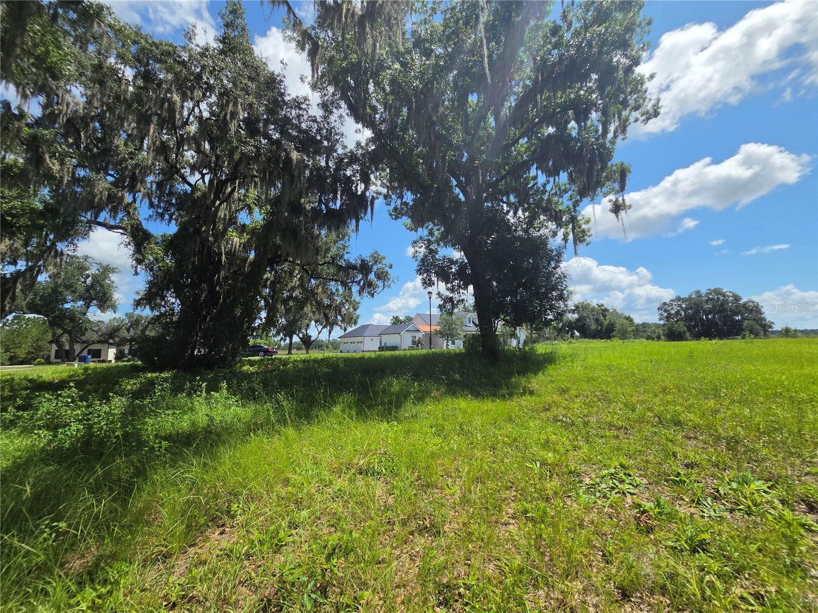 BLUE SPRING RESERVE - Land