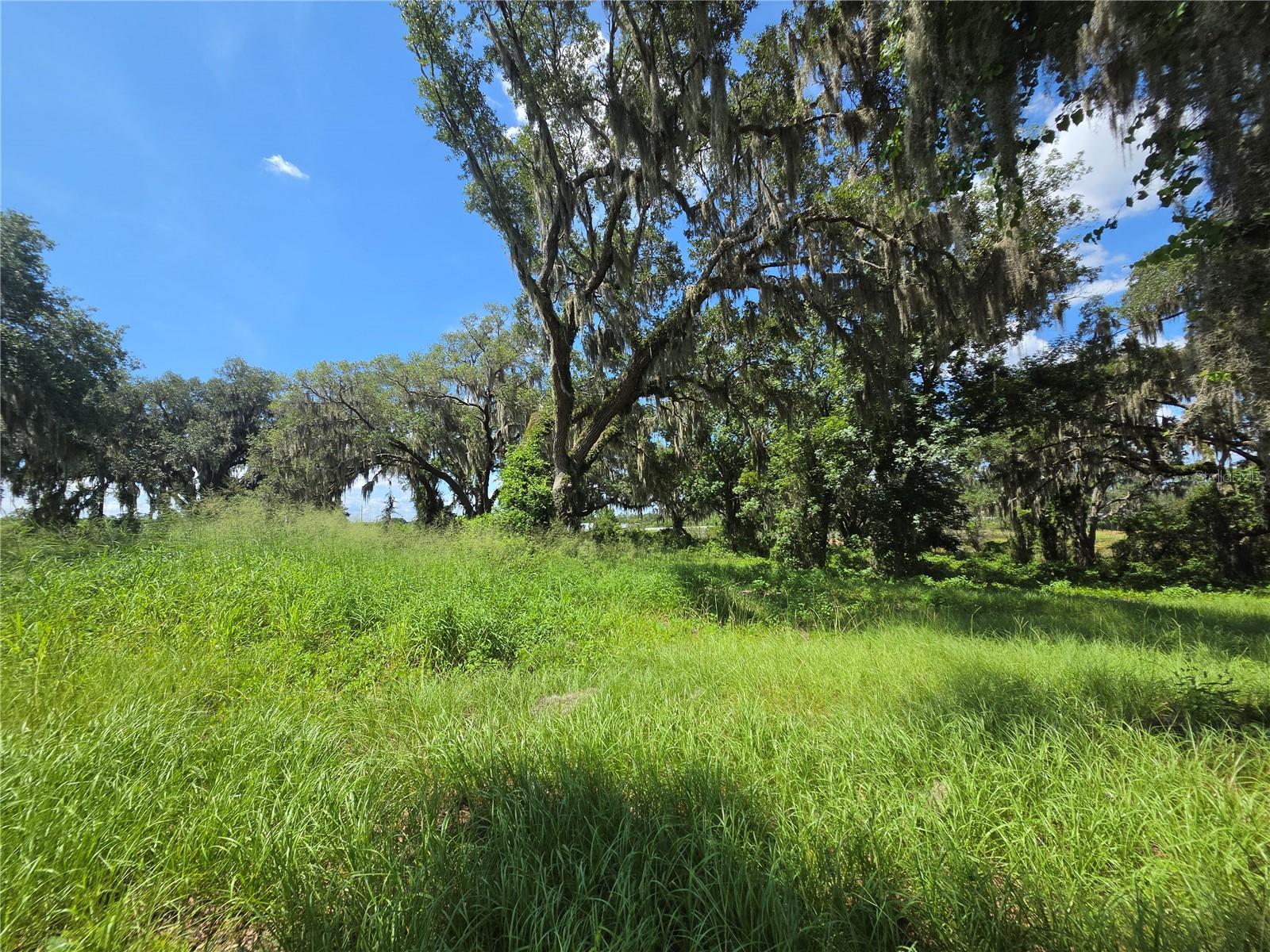 BLUE SPRING RESERVE - Land