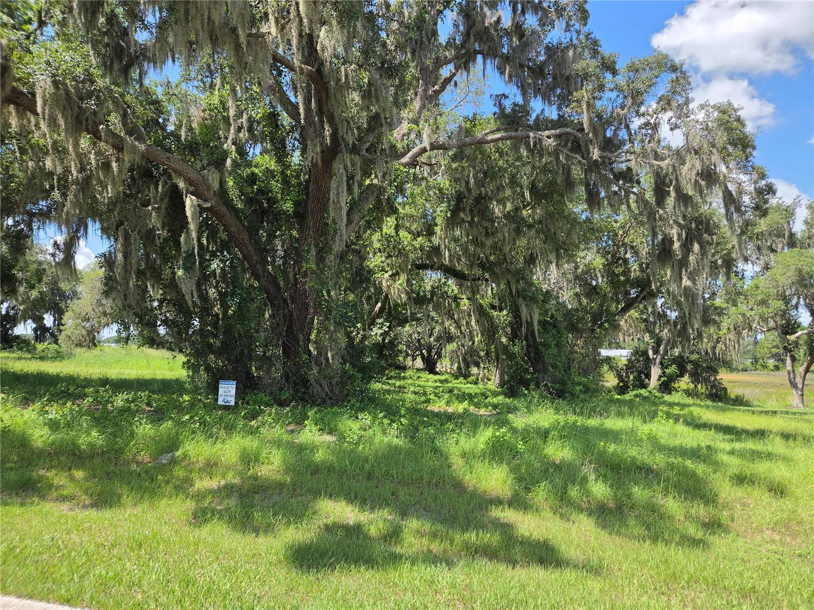 BLUE SPRING RESERVE - Land