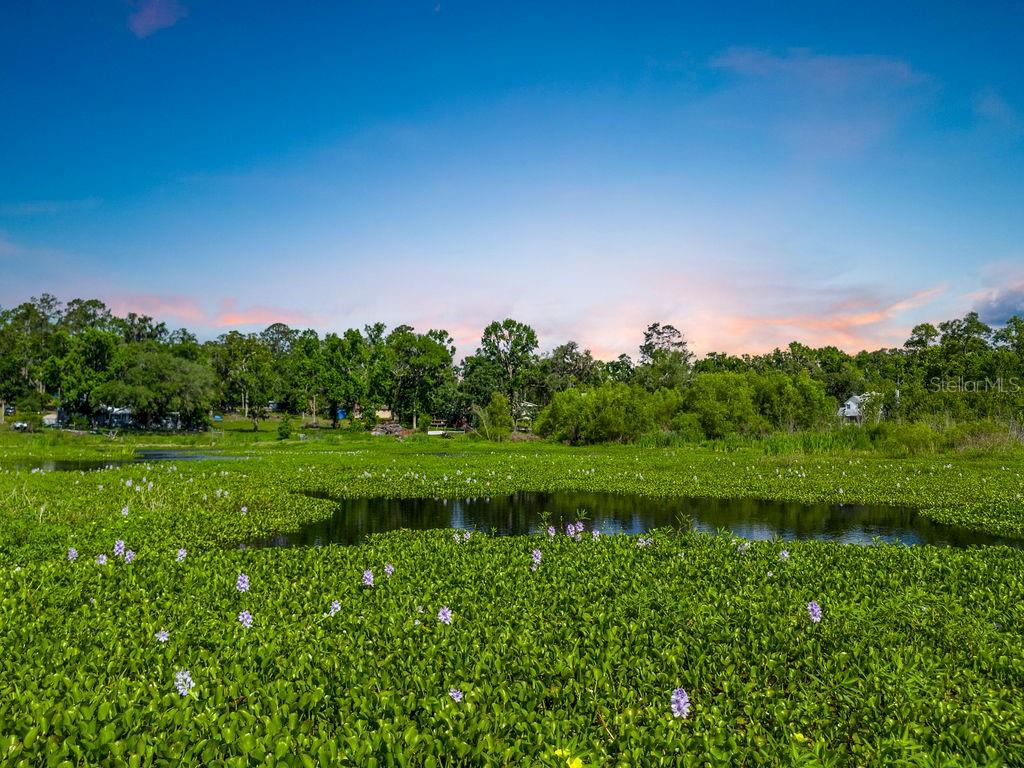 PEACOCK LAKE S/D - Residential